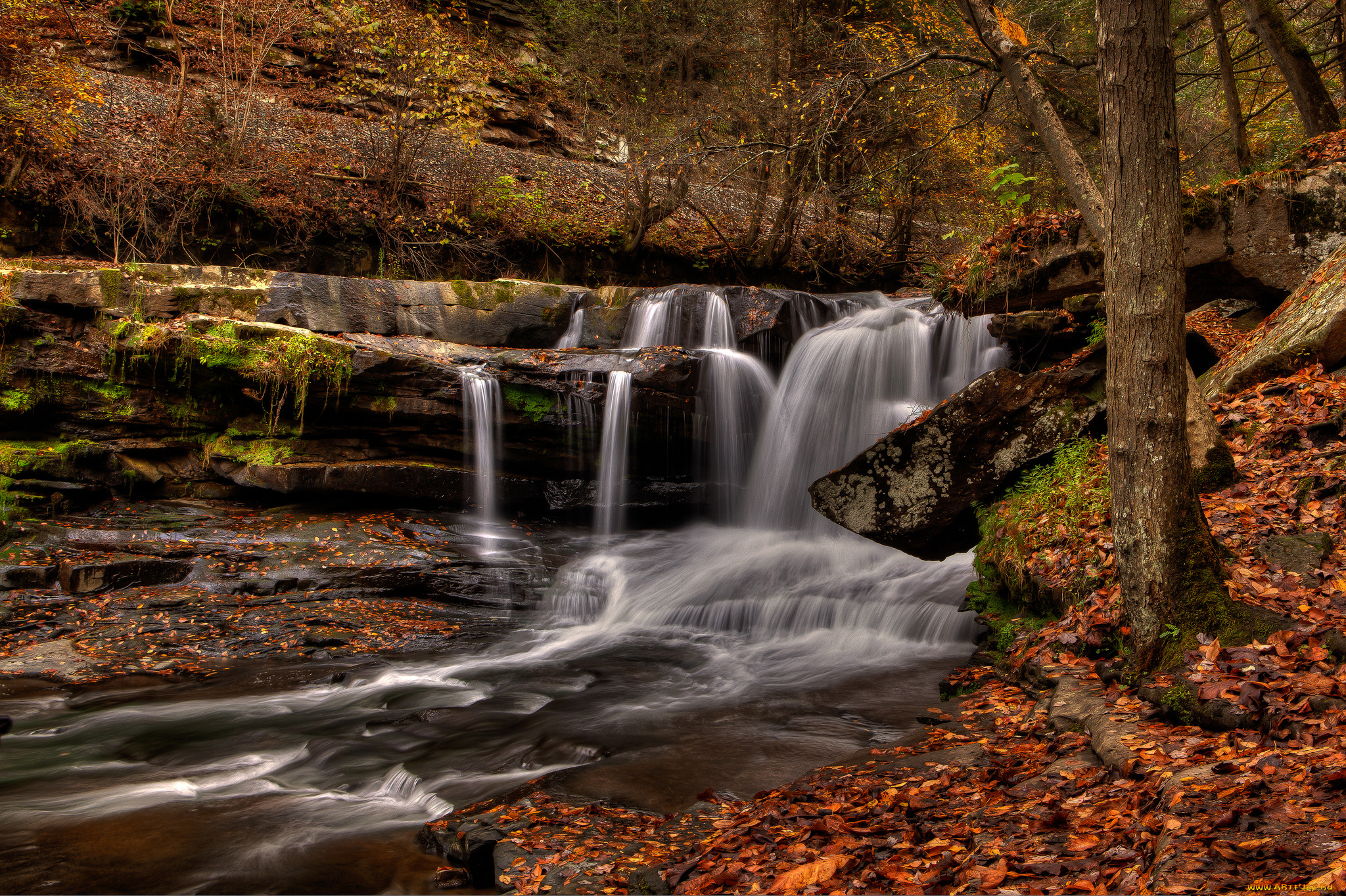 природа, водопады, водопад, река, лес