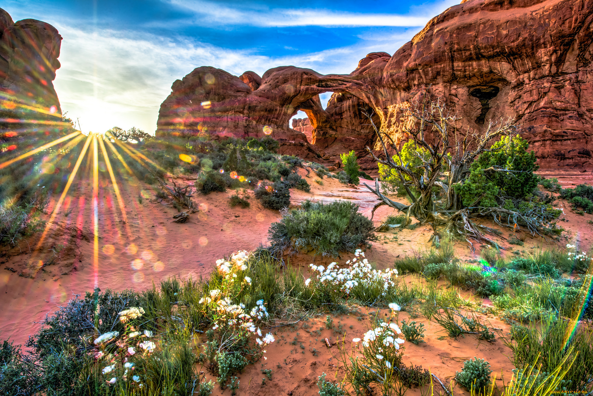 природа, восходы, закаты, скалы, цветы, солнце