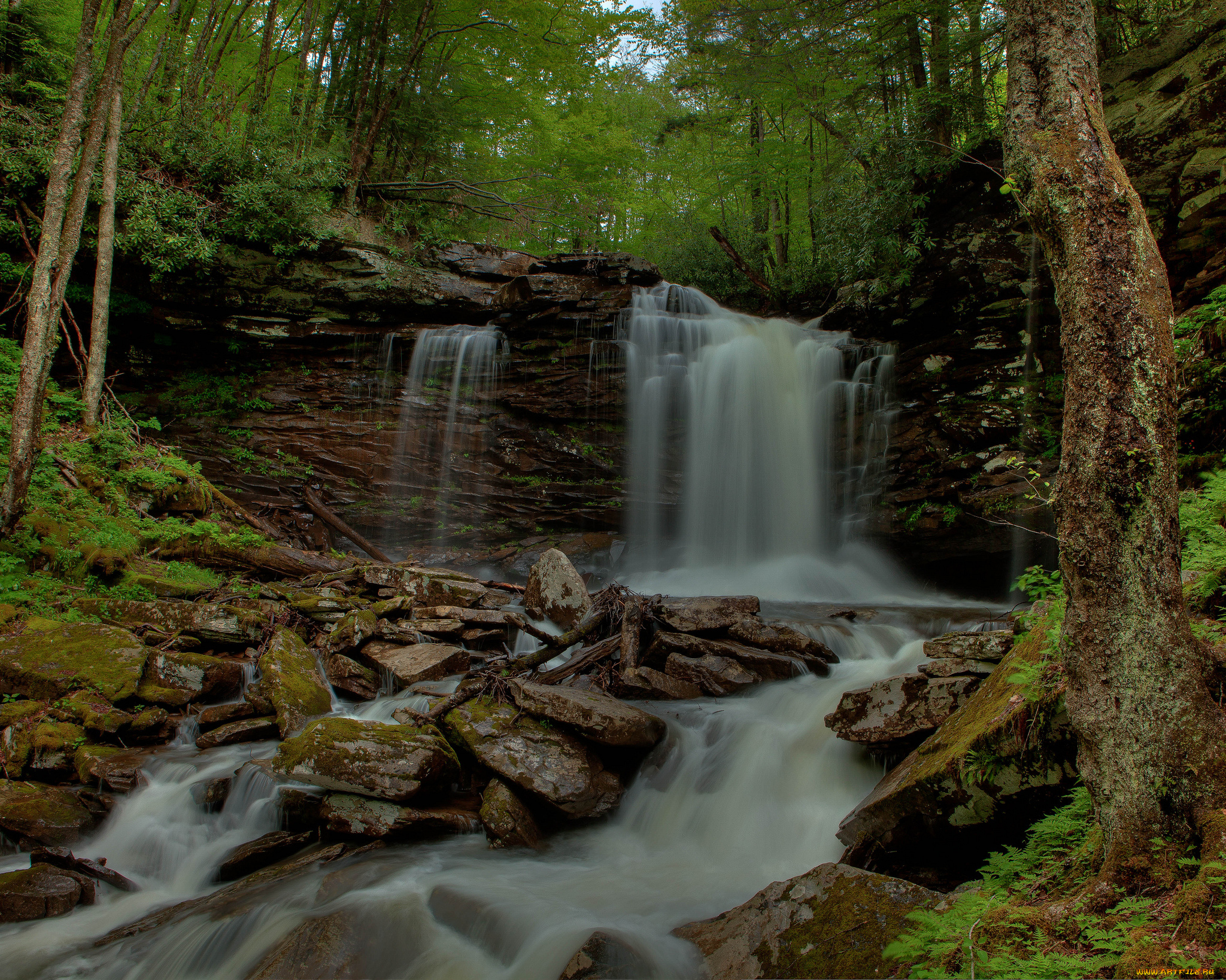 природа, водопады, водопад, лес, река