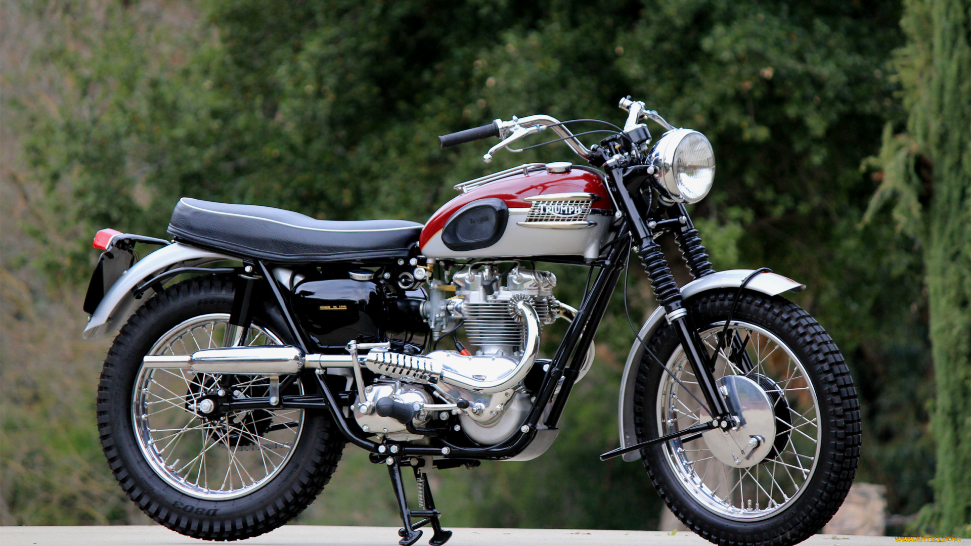 мотоциклы, triumph