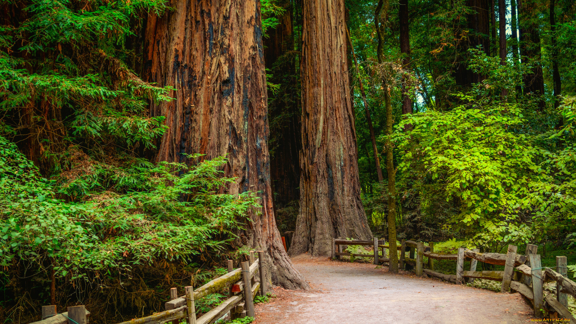 природа, дороги, тракт