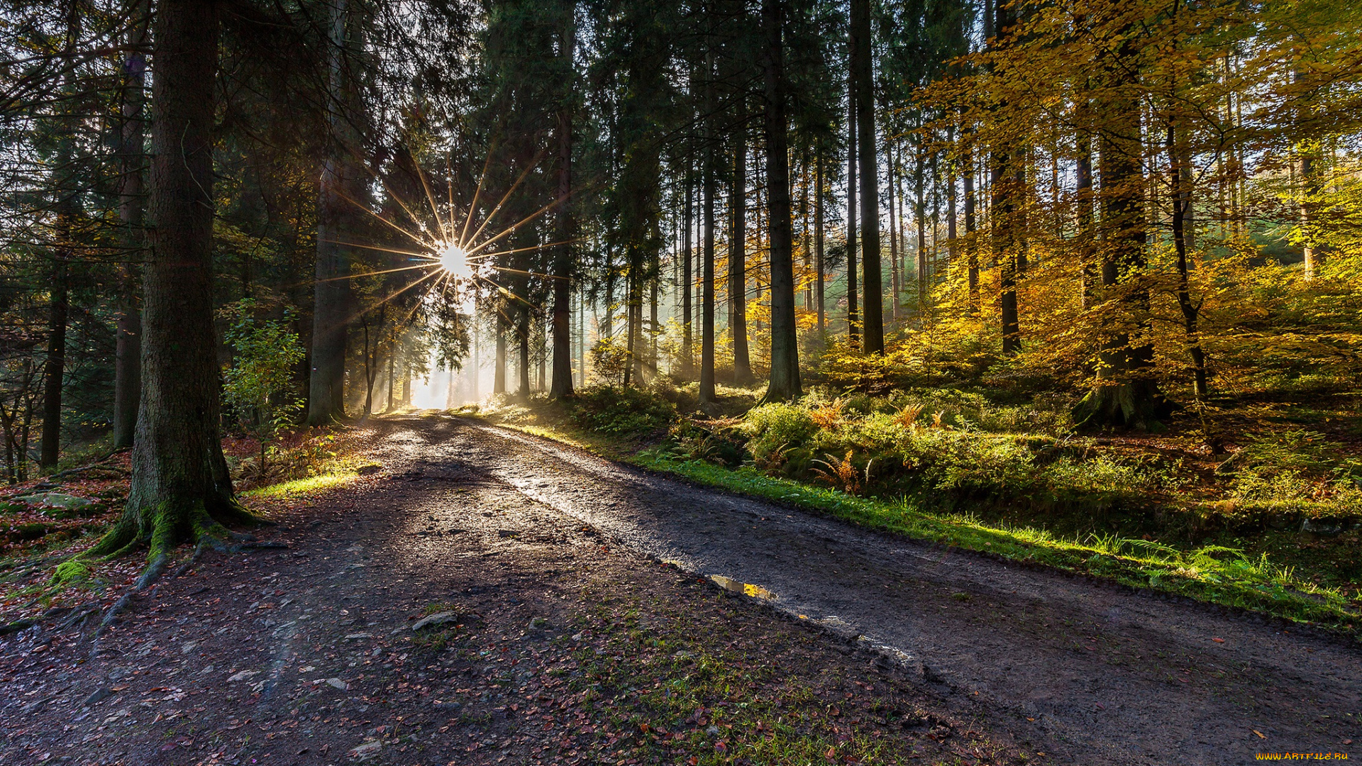 природа, дороги, тракт