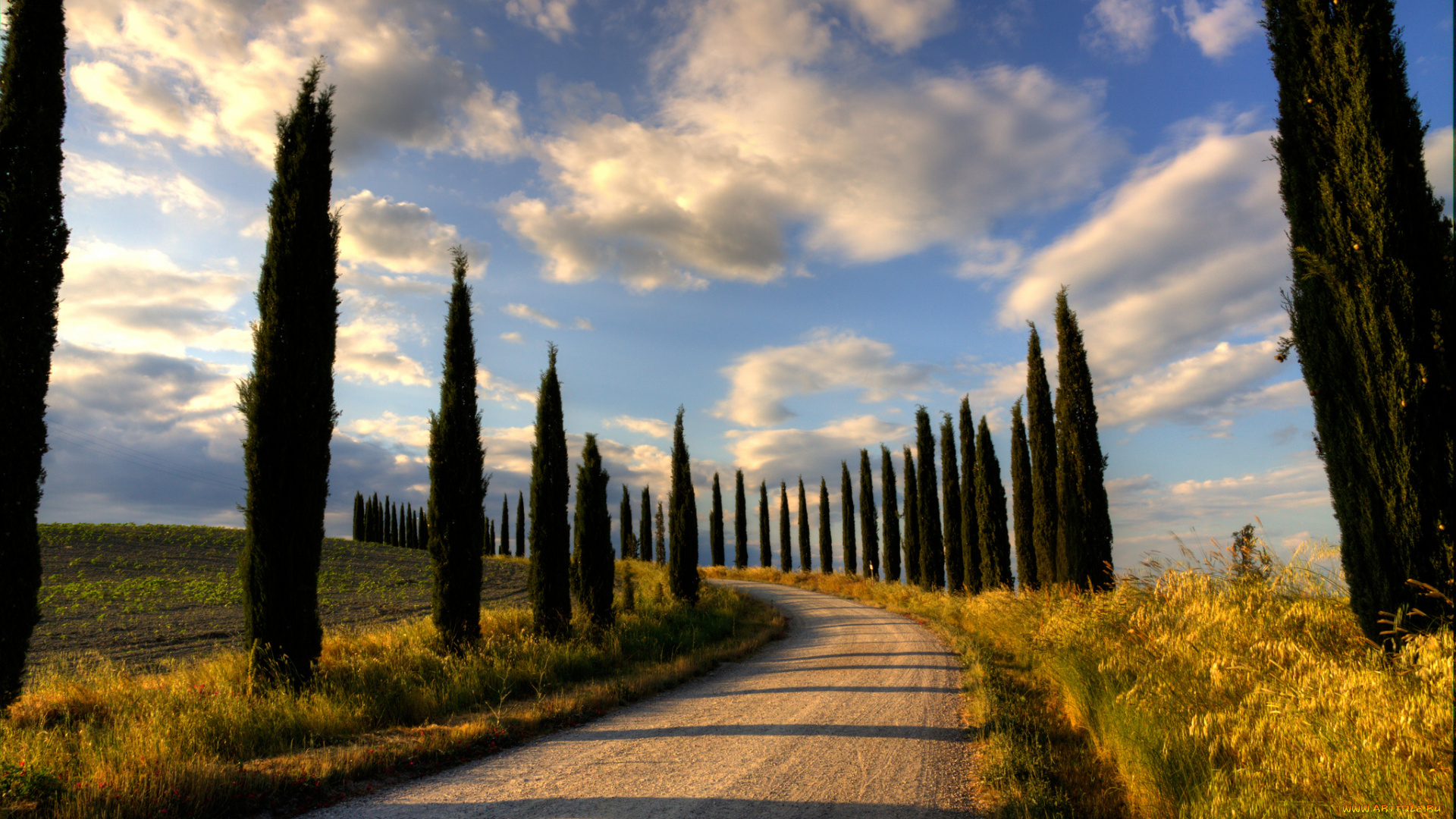 природа, дороги, тракт