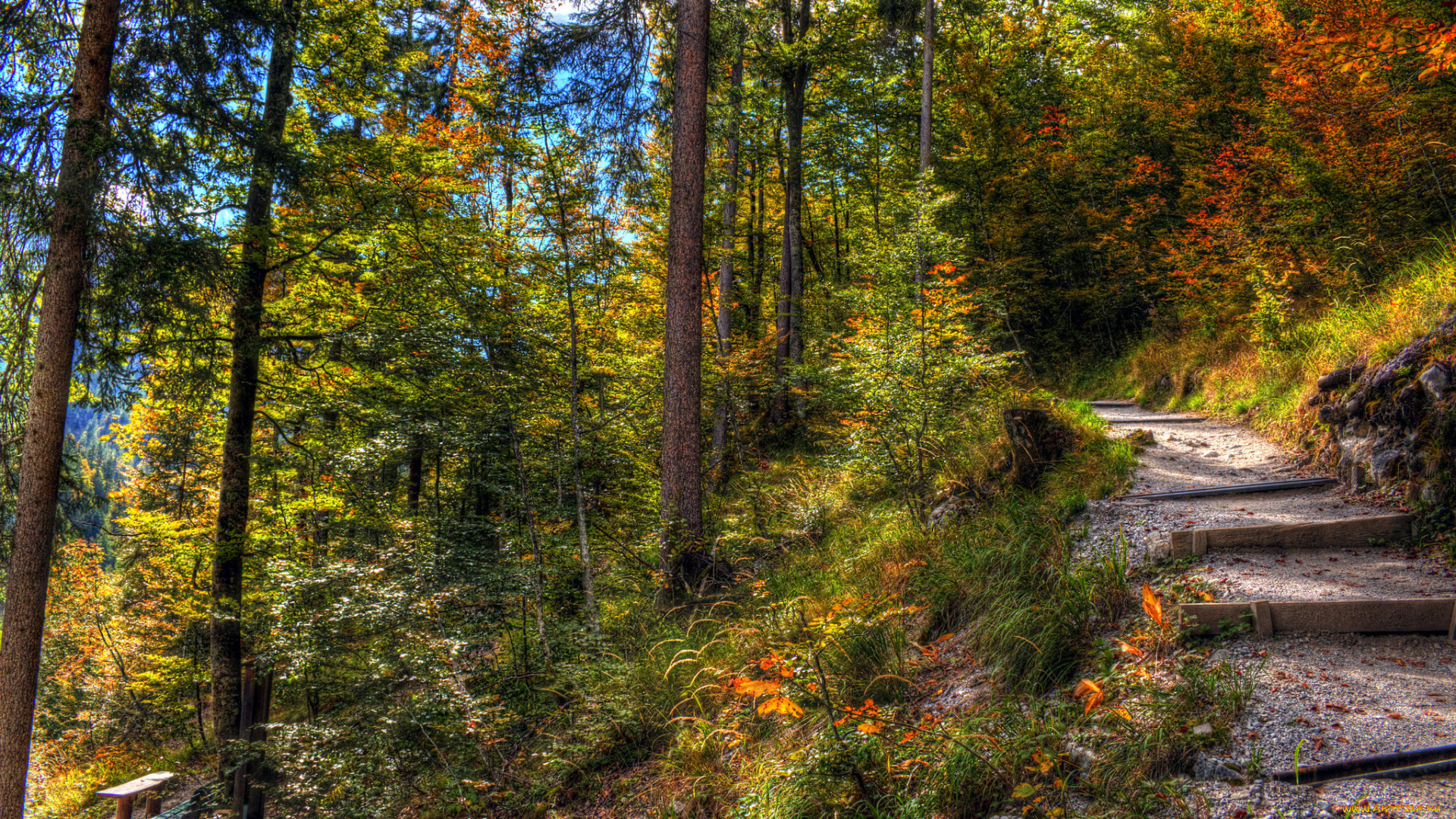 природа, дороги, тракт