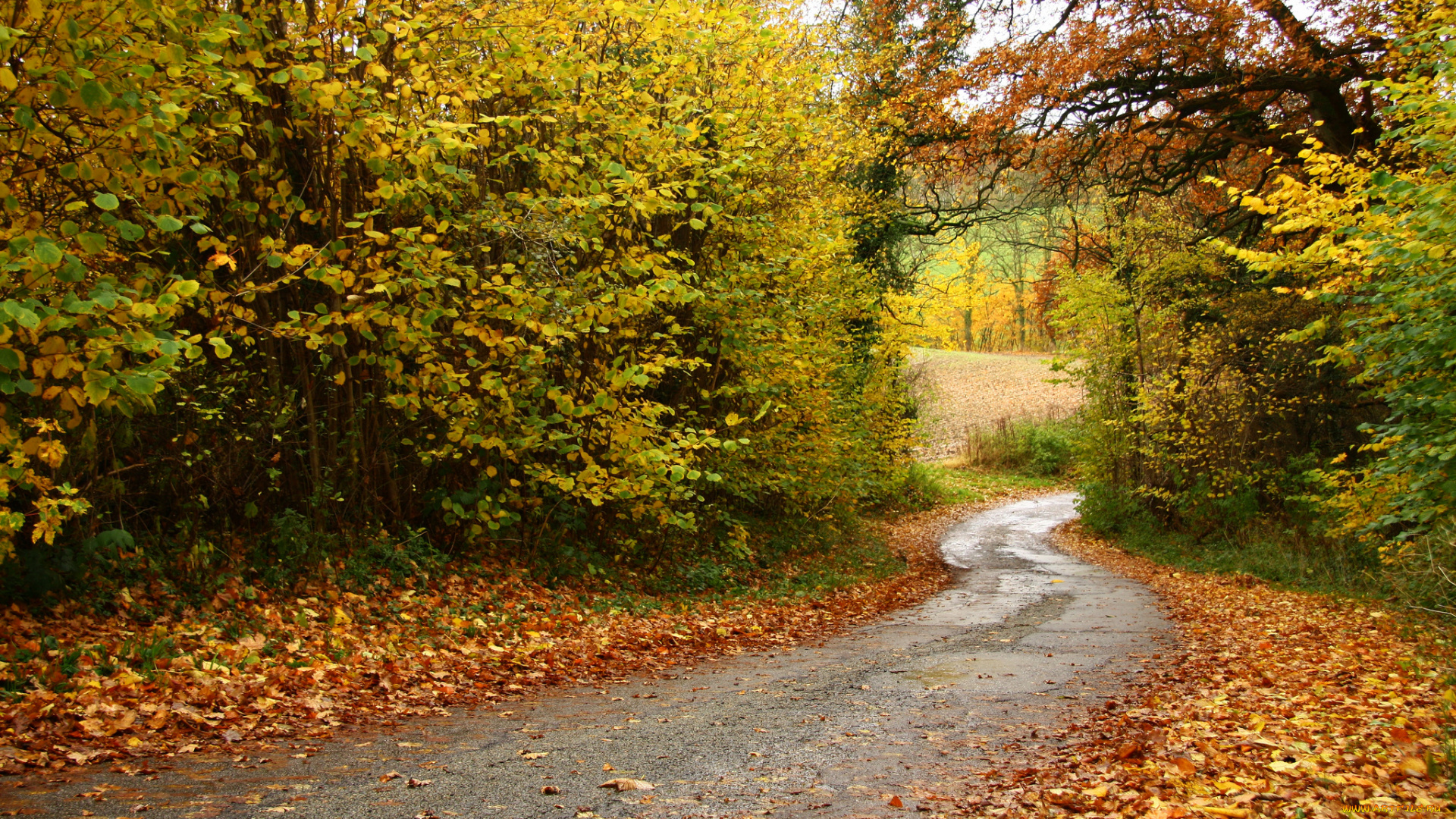 природа, дороги, тракт