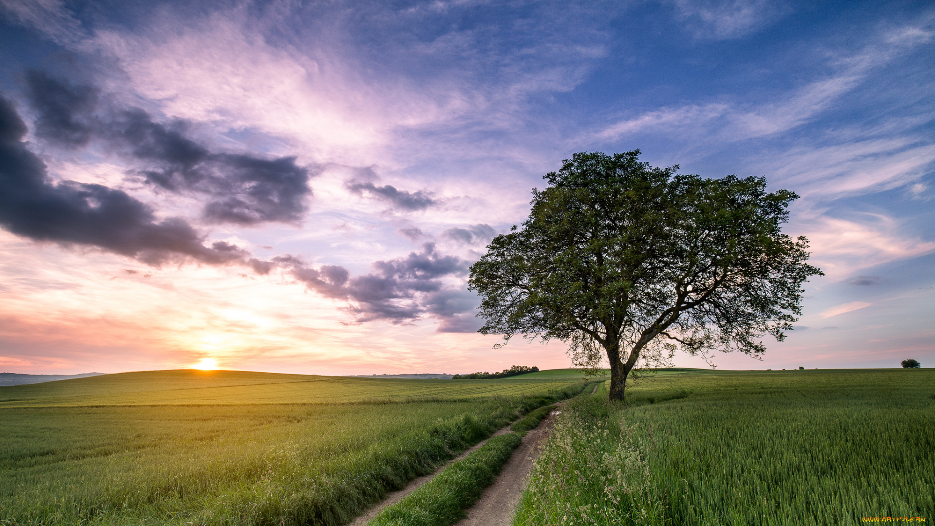 природа, дороги, тракт