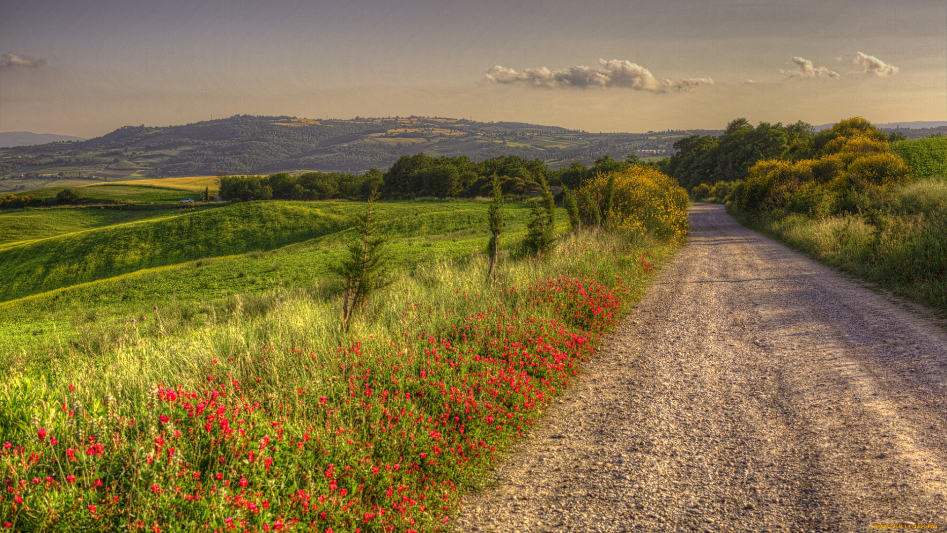 природа, дороги, тракт
