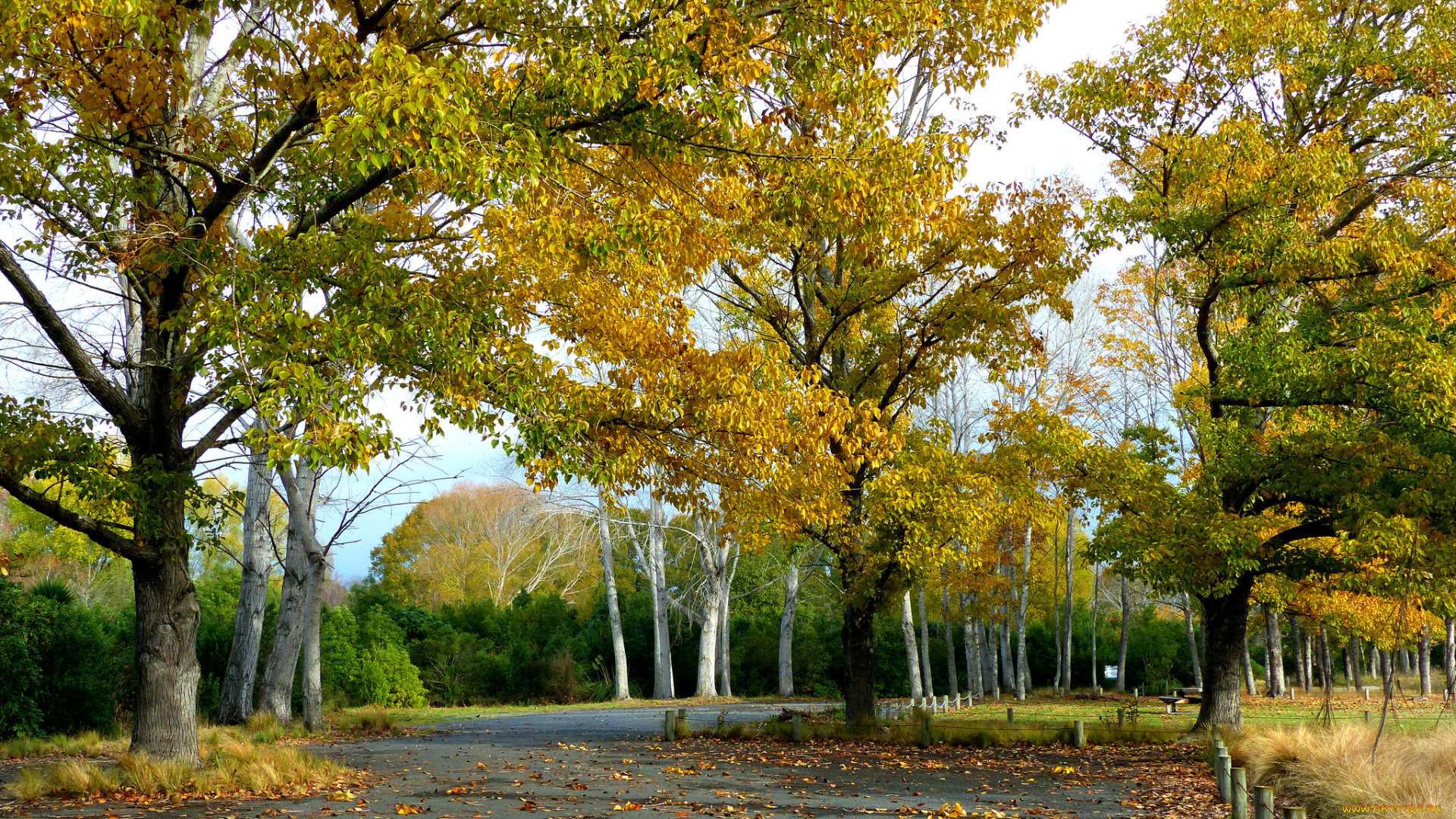 природа, дороги, тракт