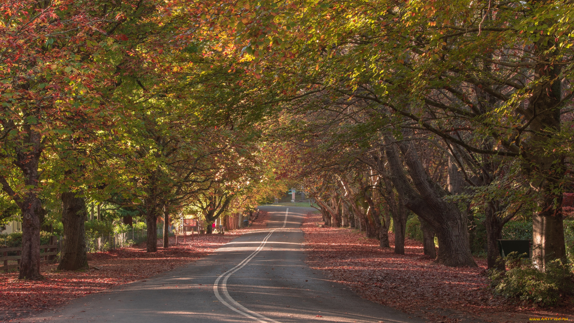 природа, дороги, тракт