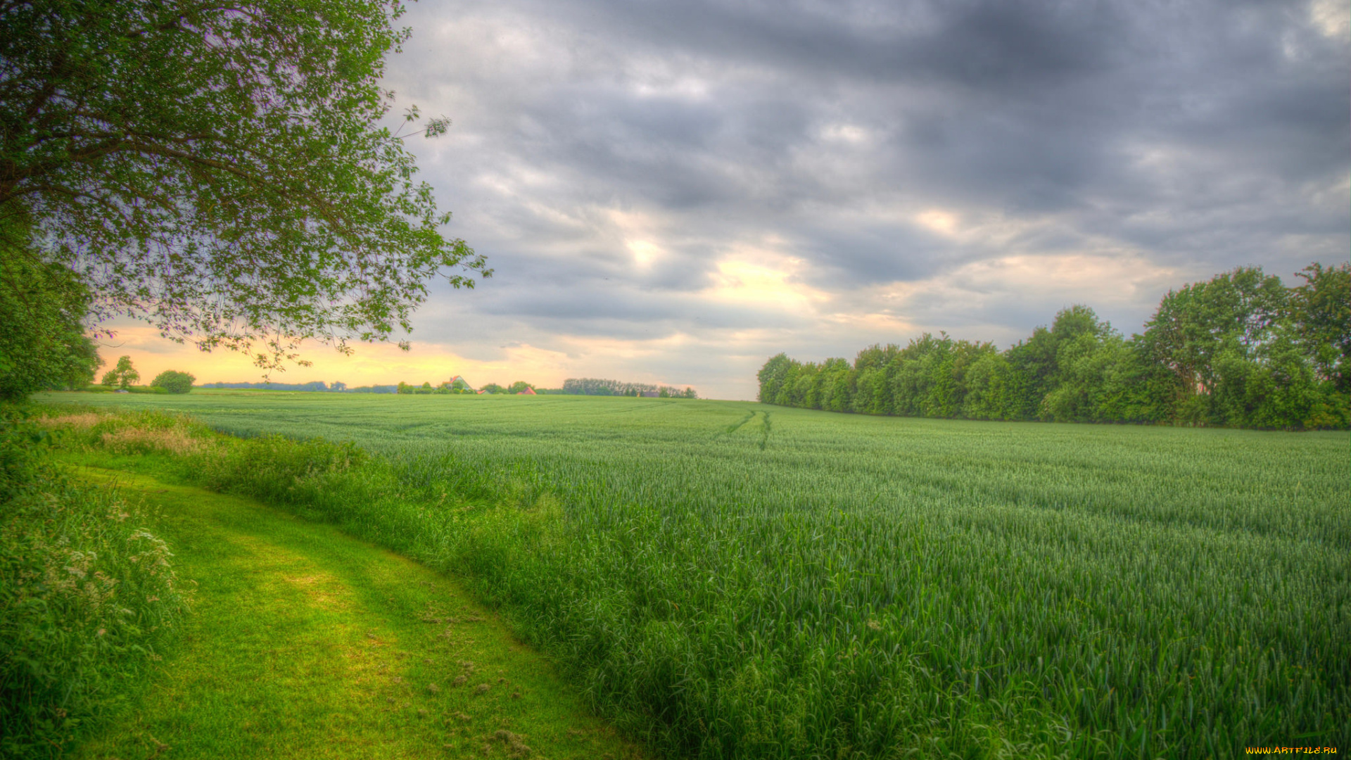 природа, дороги, тракт