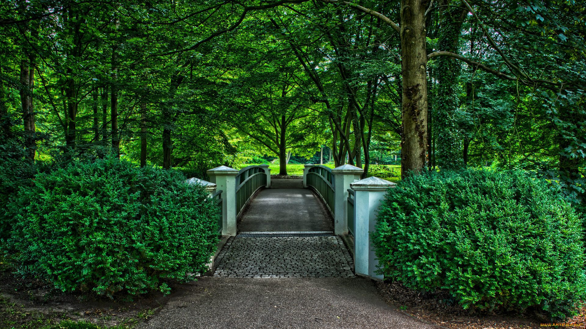 природа, парк, аллея