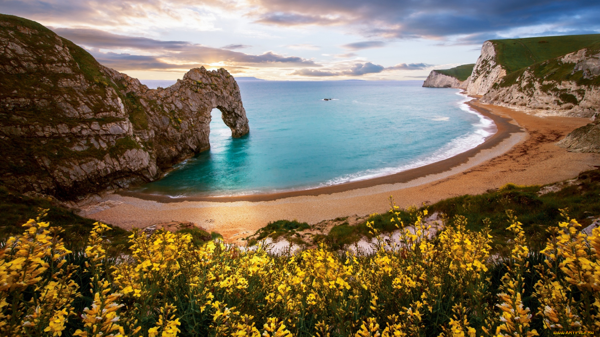 природа, побережье, арка, скала, пляж, цветы, море