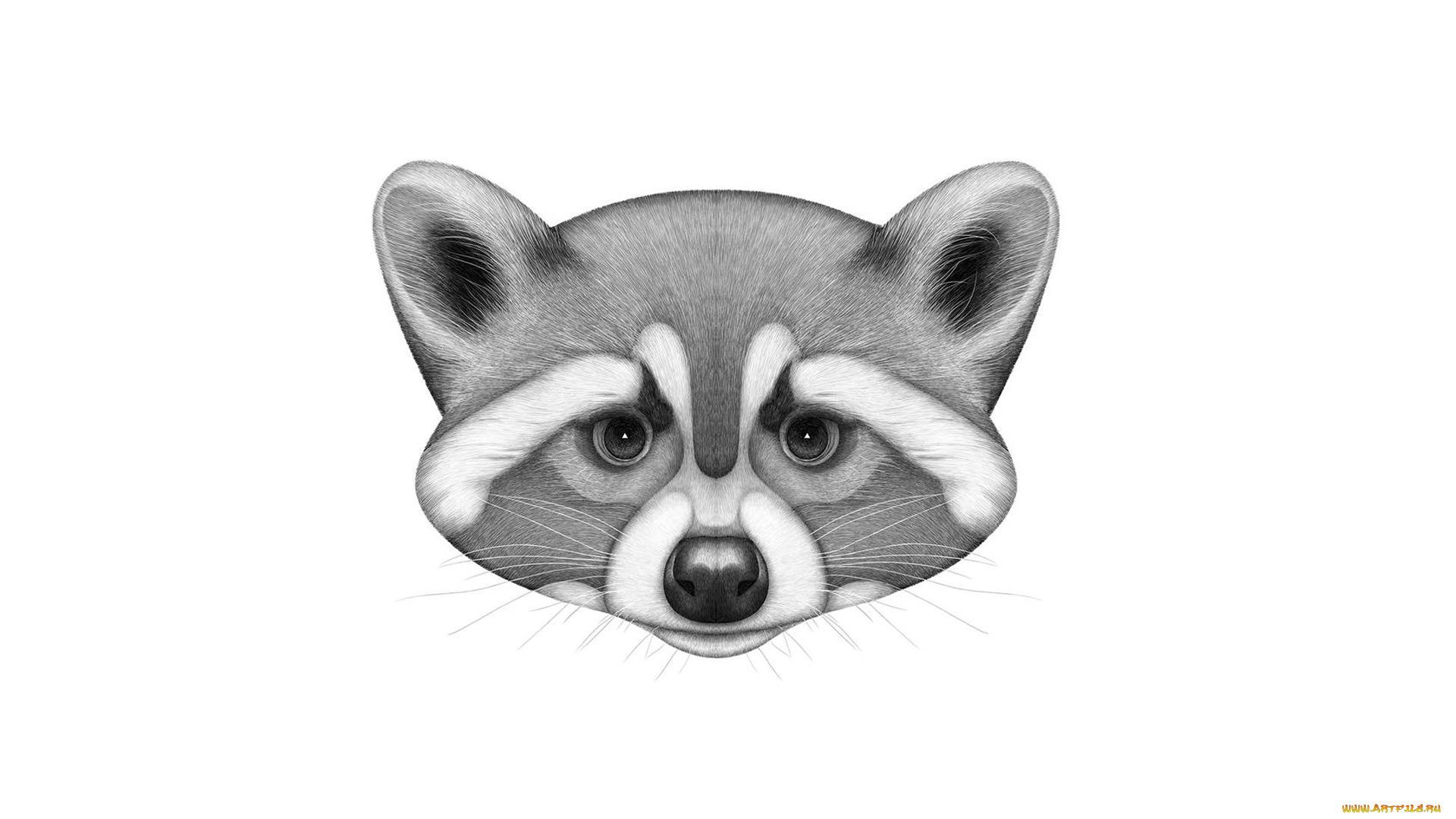 рисованное, минимализм, панда