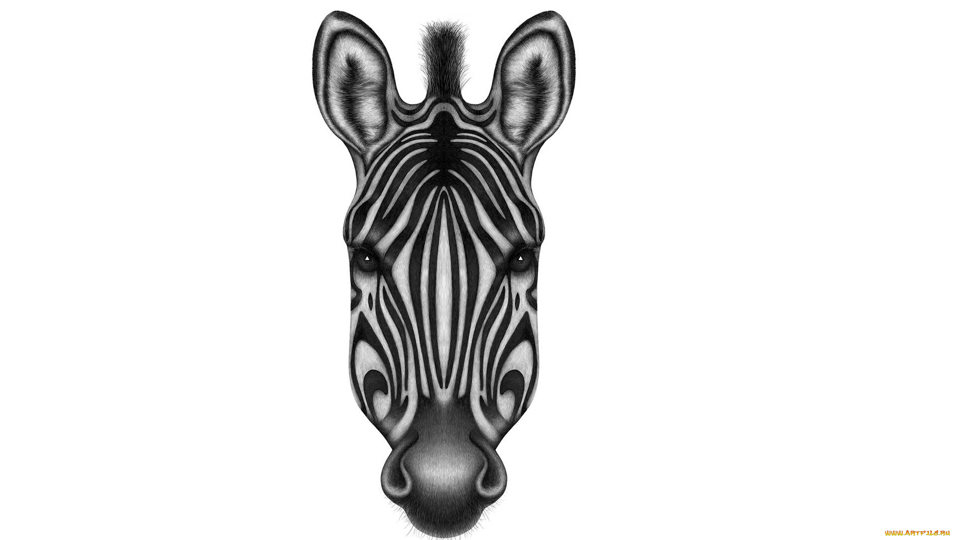 рисованное, минимализм, жираф, фон