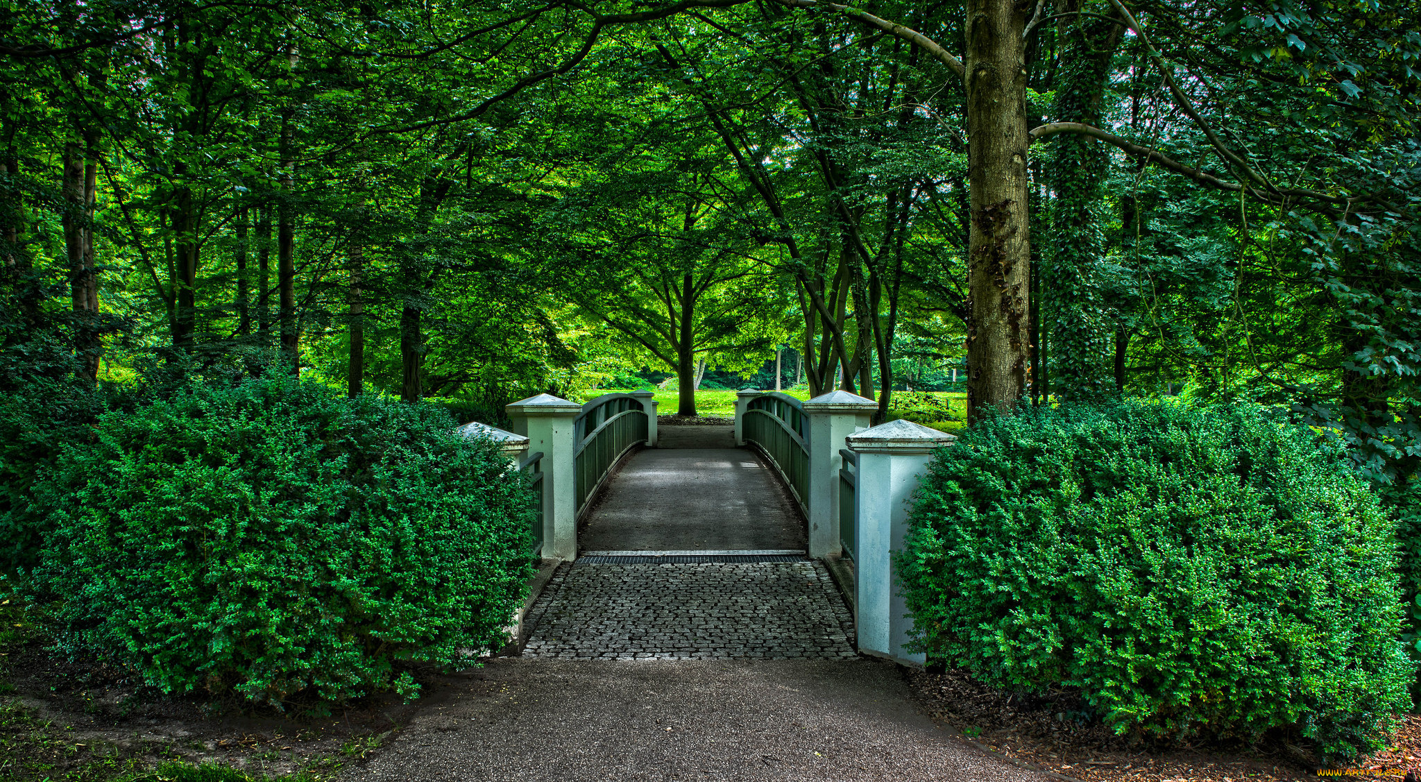природа, парк, аллея