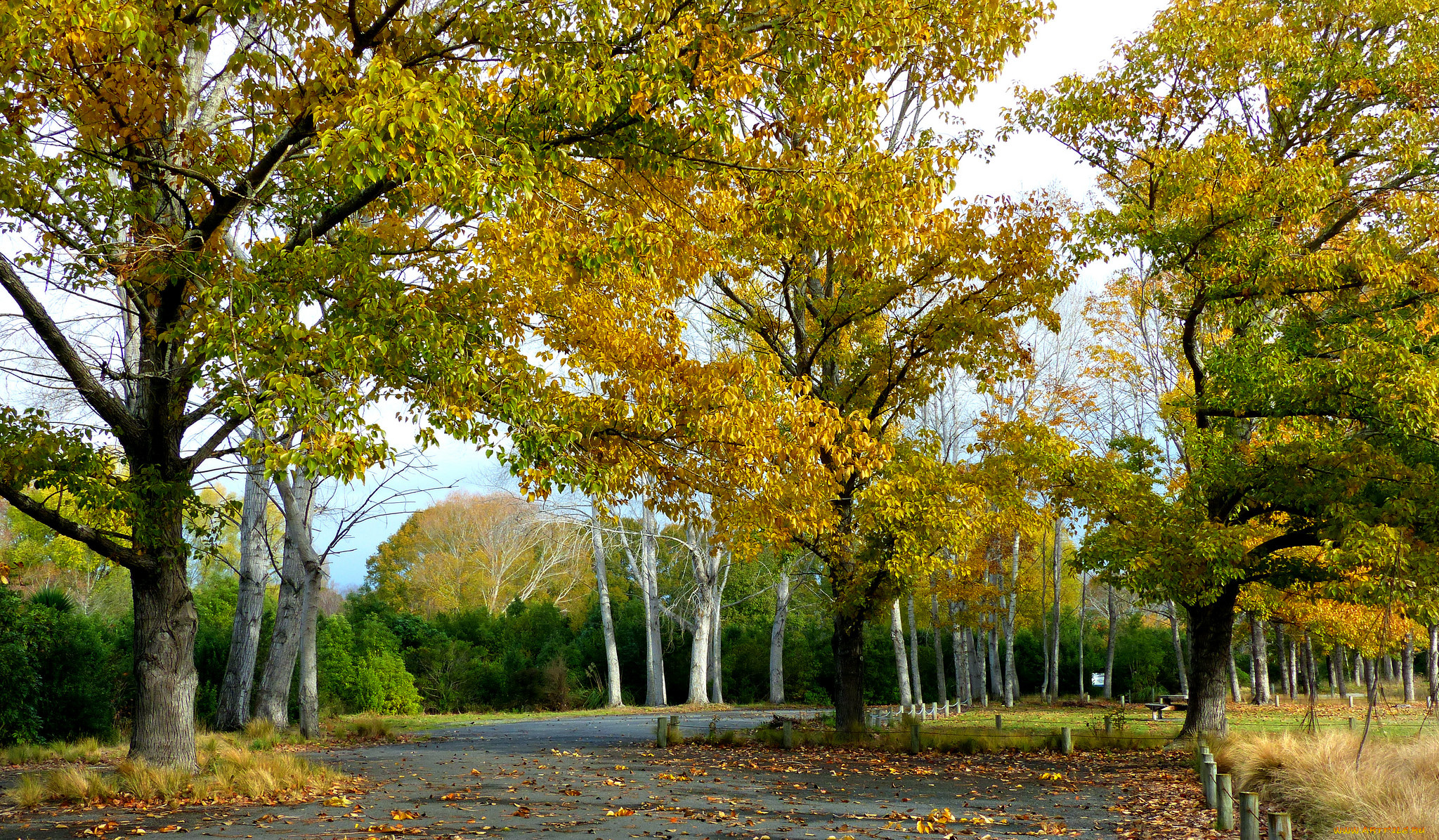 природа, дороги, тракт