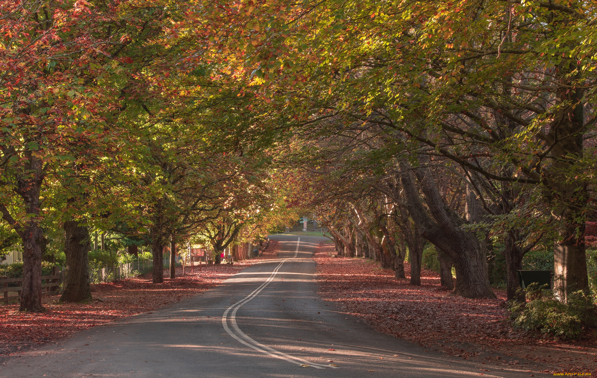 природа, дороги, тракт