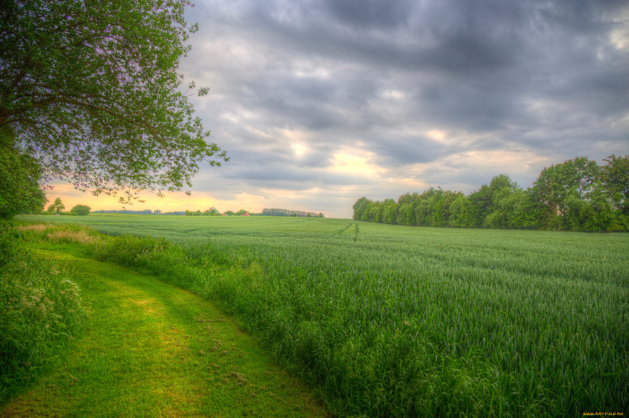 природа, дороги, тракт