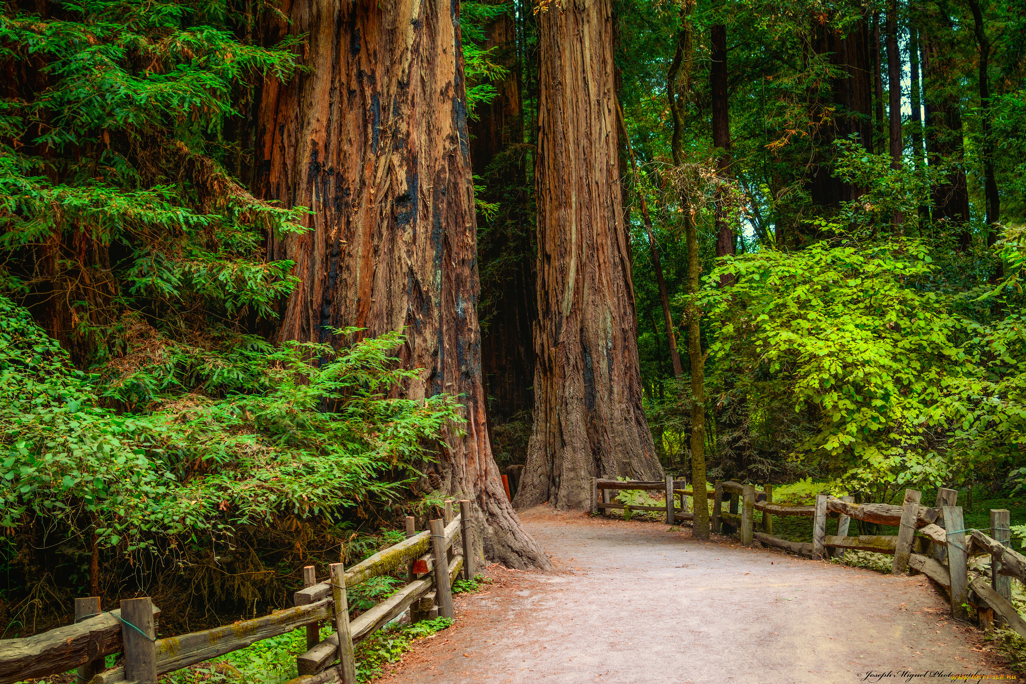 природа, дороги, тракт