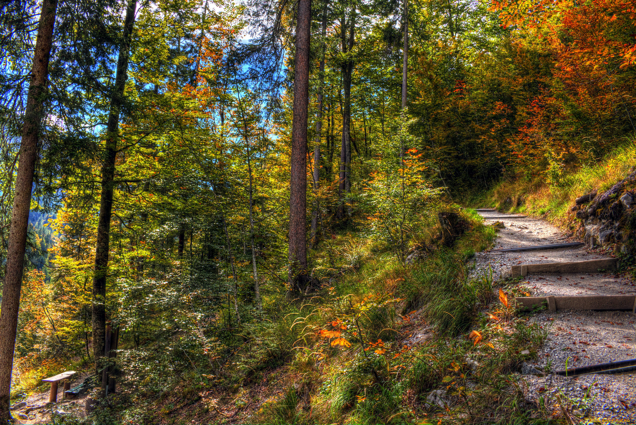 природа, дороги, тракт