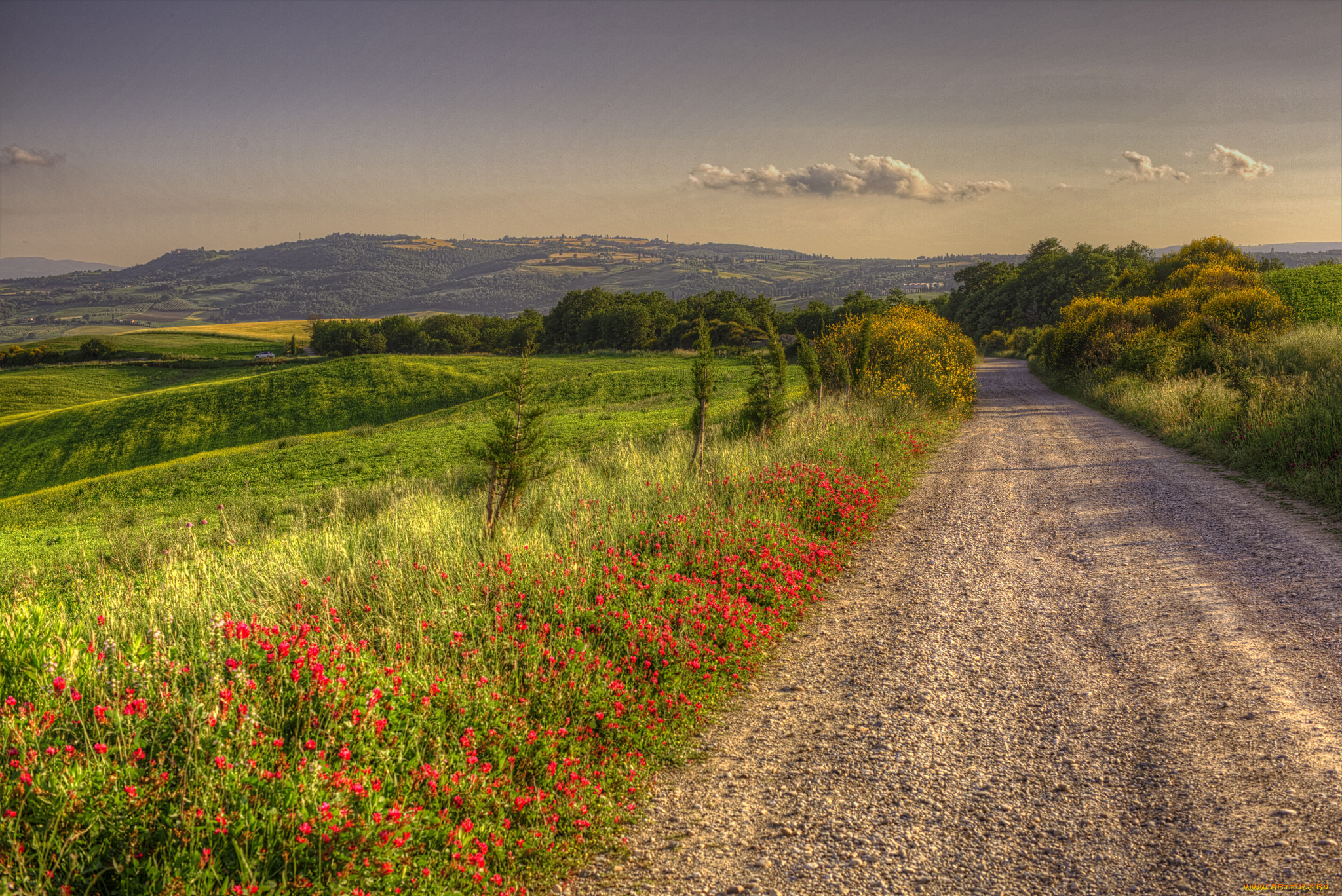 природа, дороги, тракт