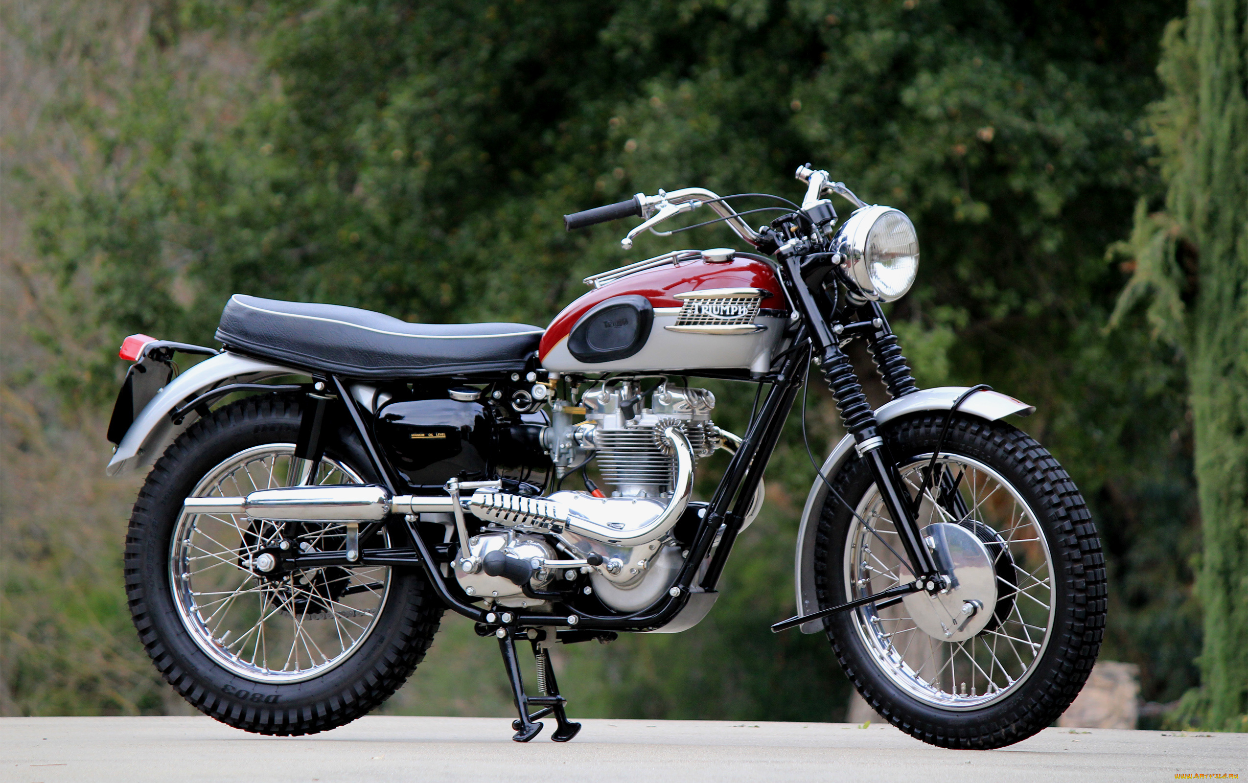 мотоциклы, triumph