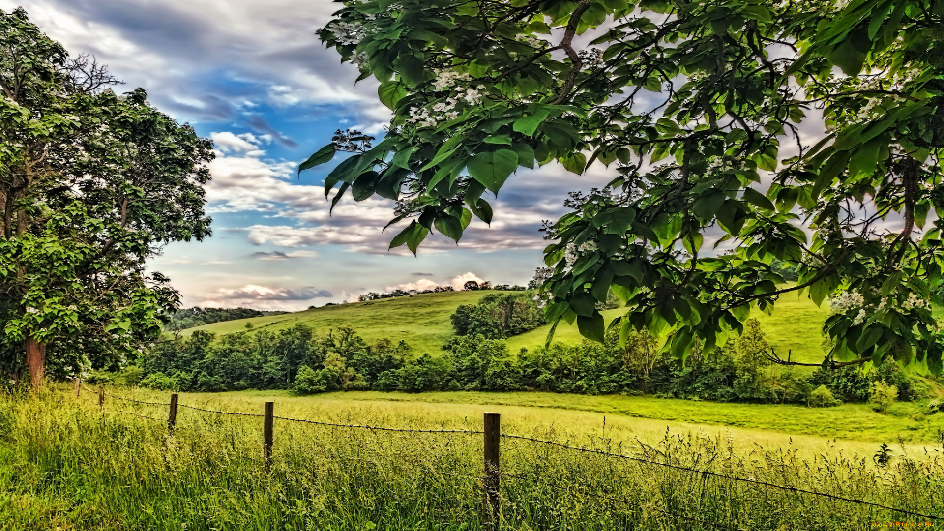 природа, пейзажи, простор
