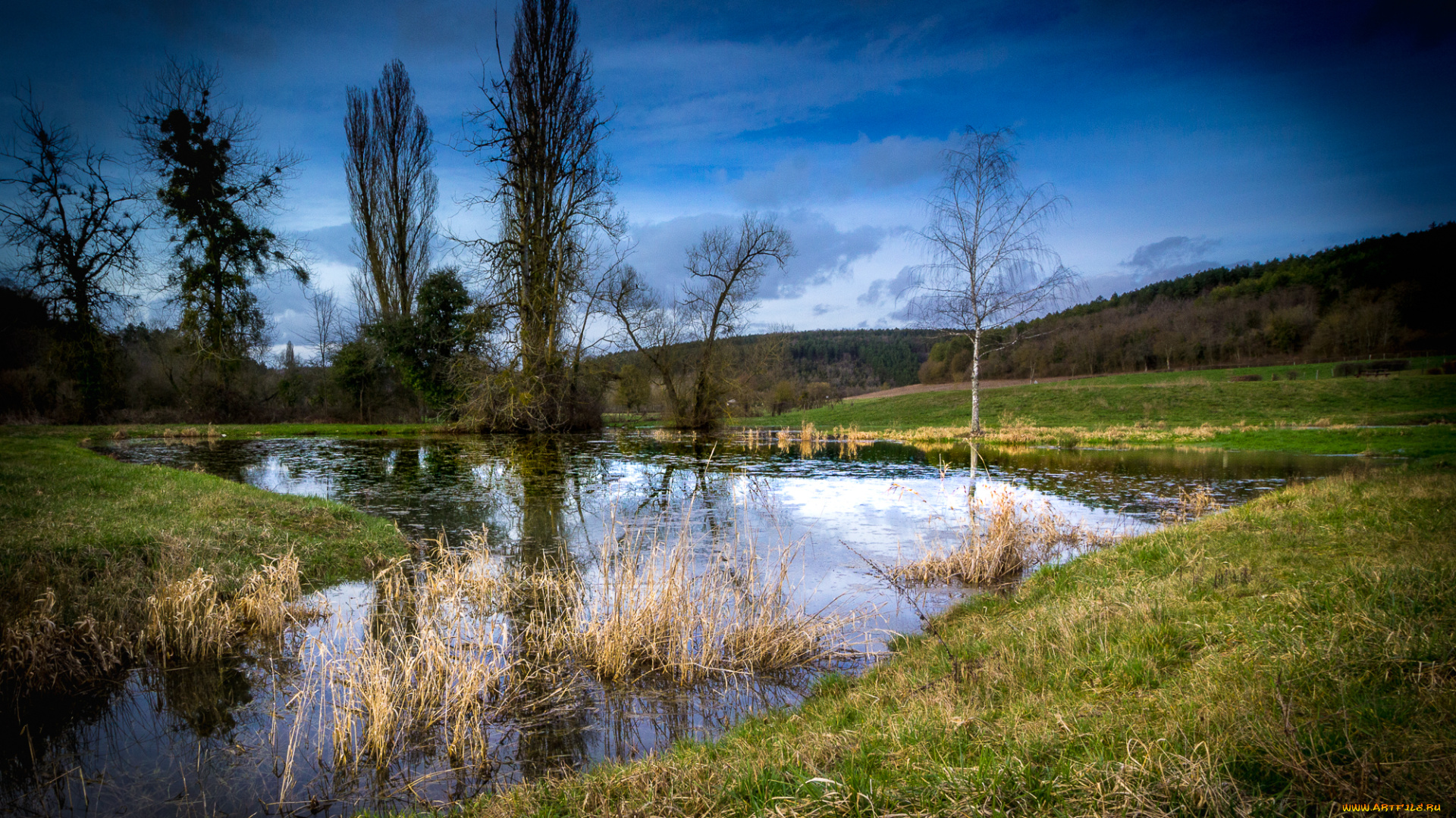 природа, реки, озера, река, лес