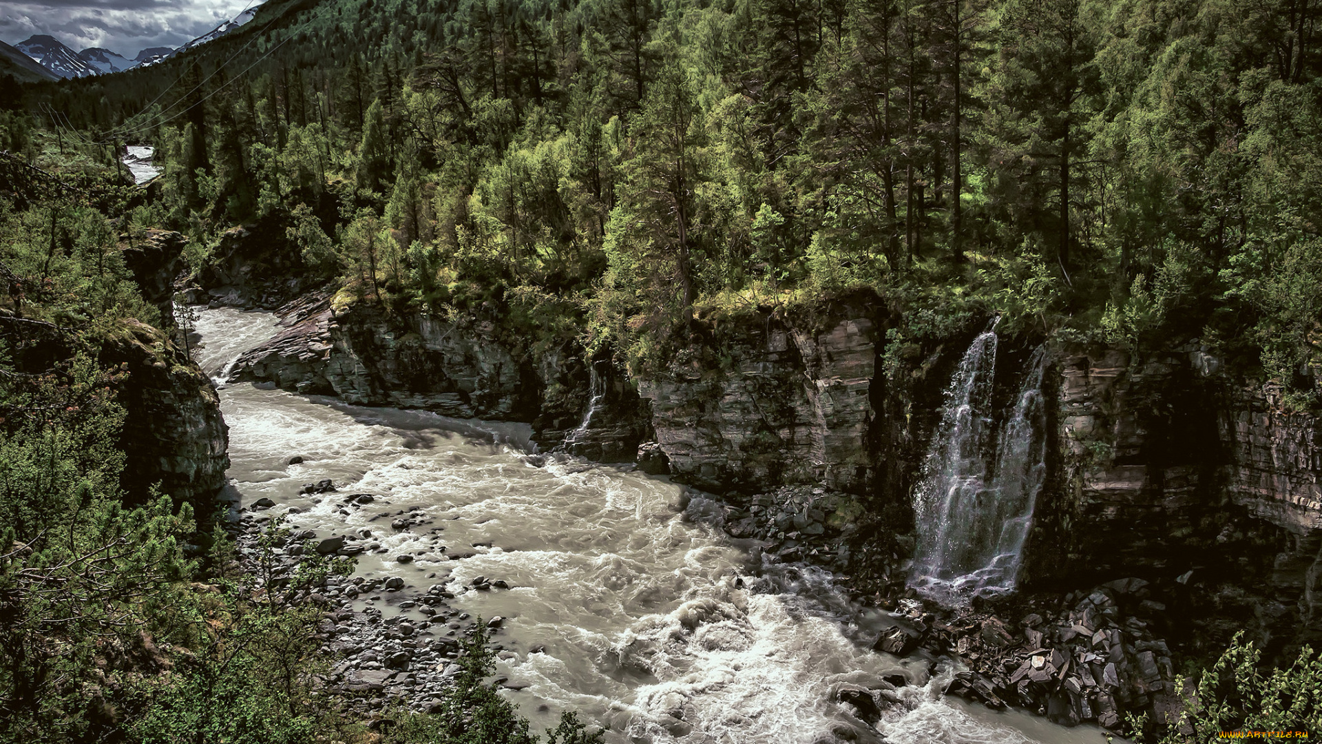 природа, реки, озера, река, лес