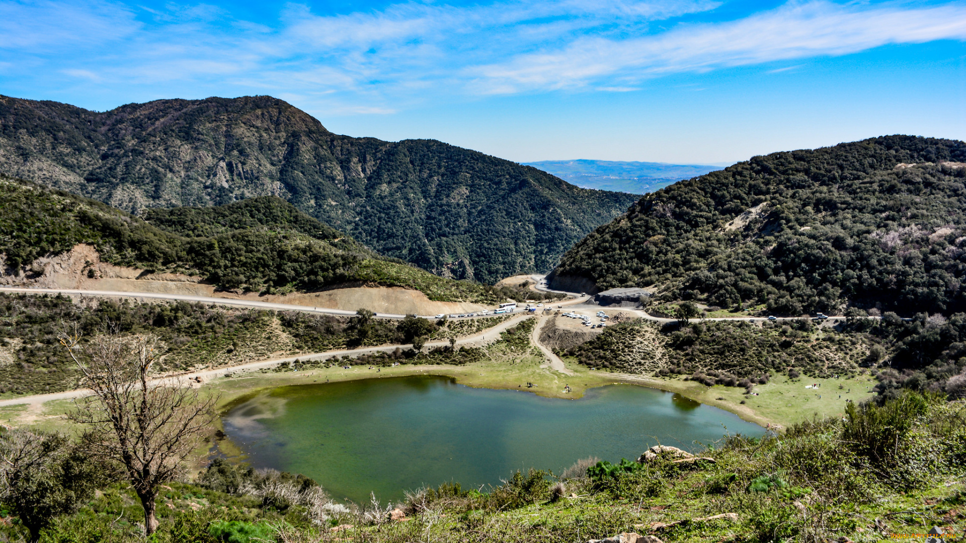 природа, реки, озера, река, лес