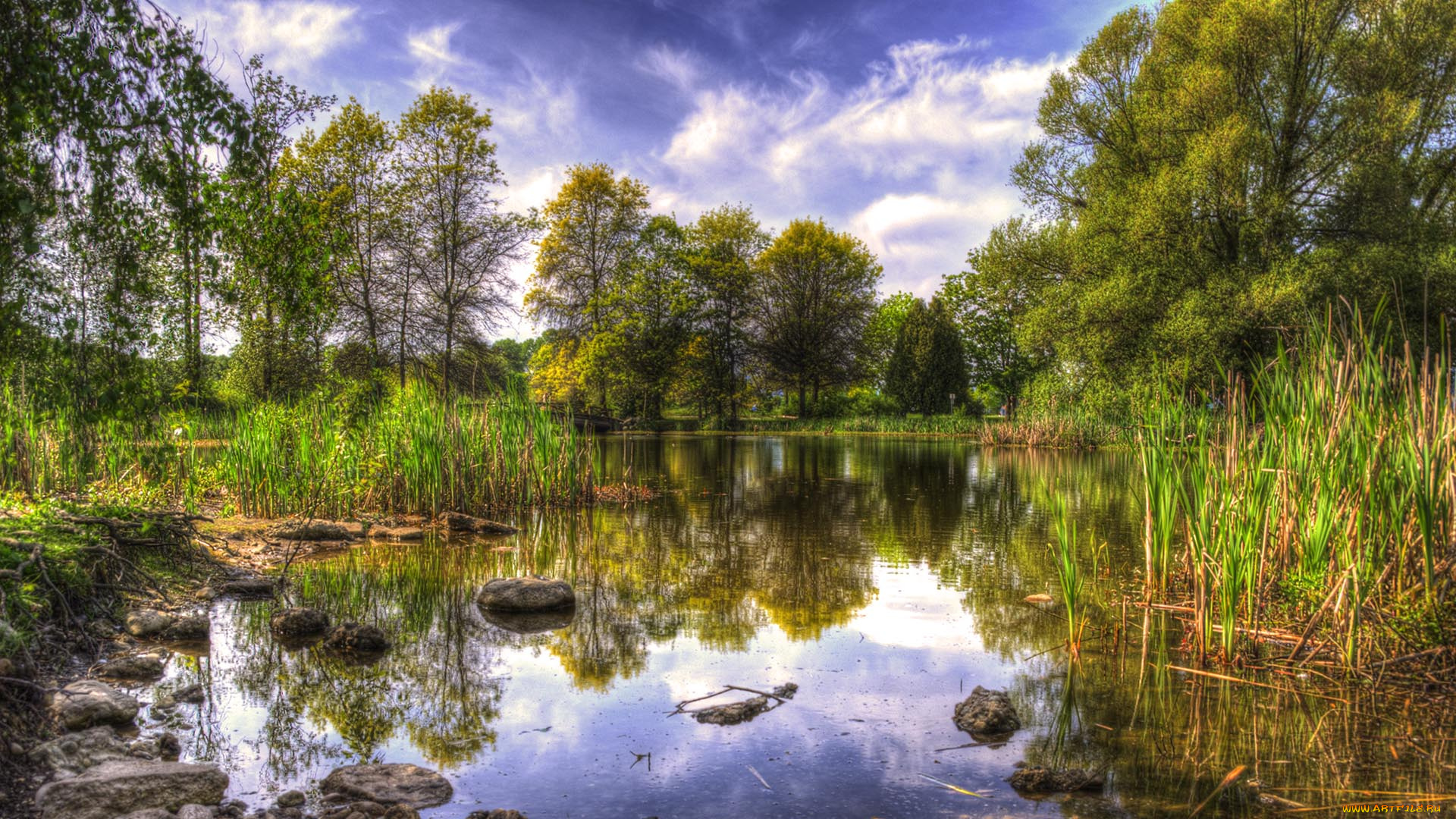 природа, реки, озера, река, лес