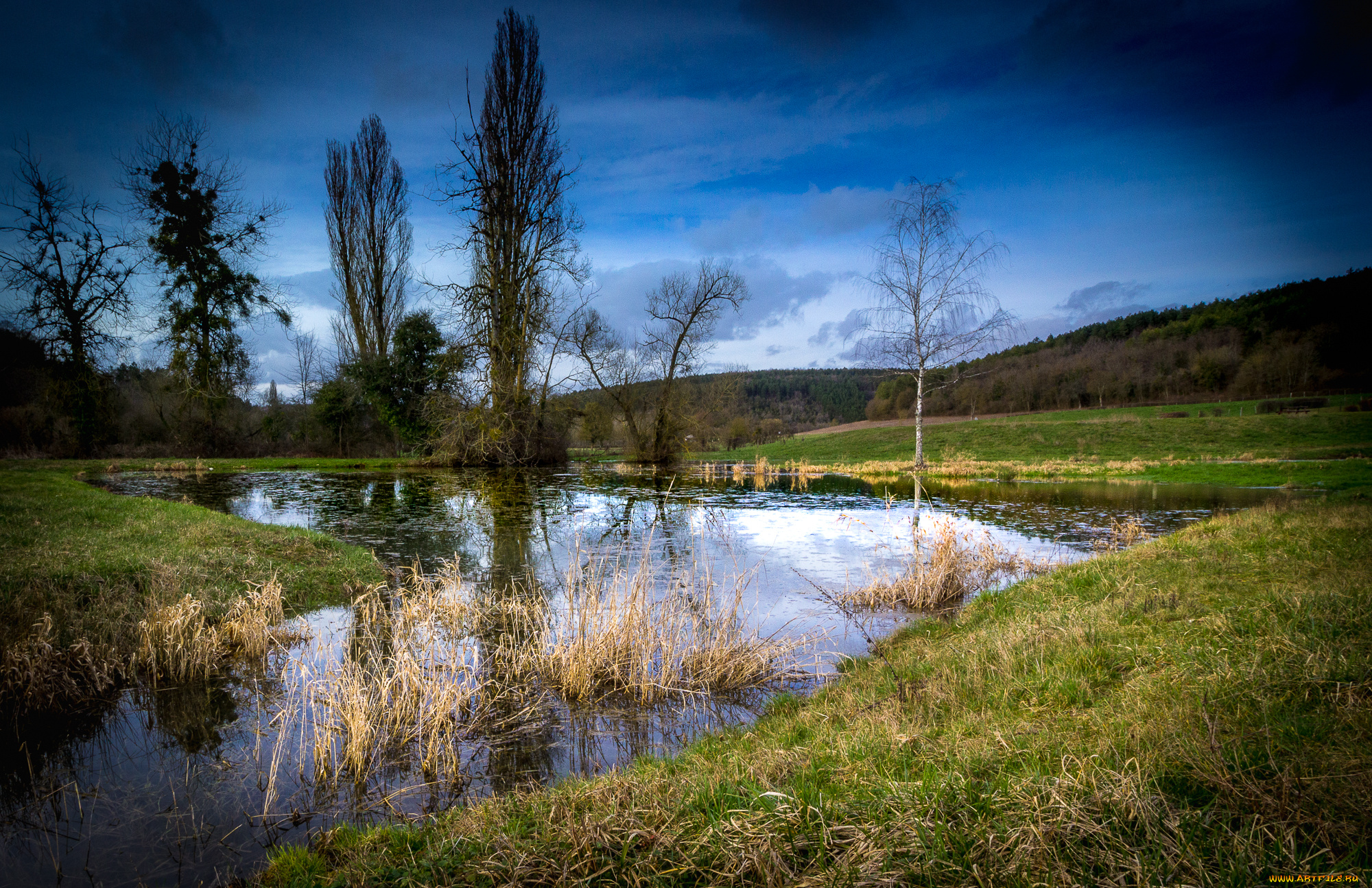 природа, реки, озера, река, лес