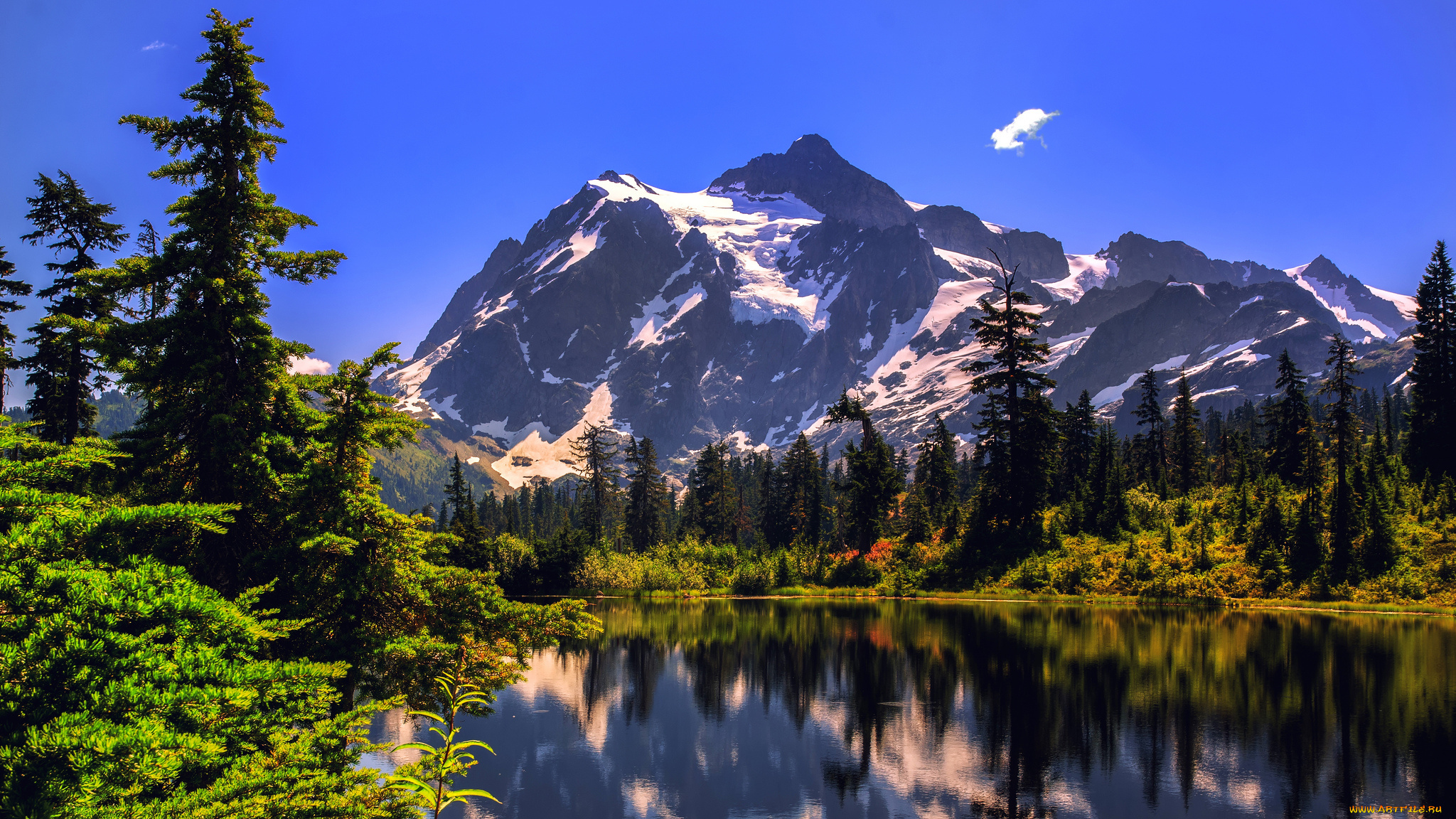 природа, реки, озера, река, лес, горы