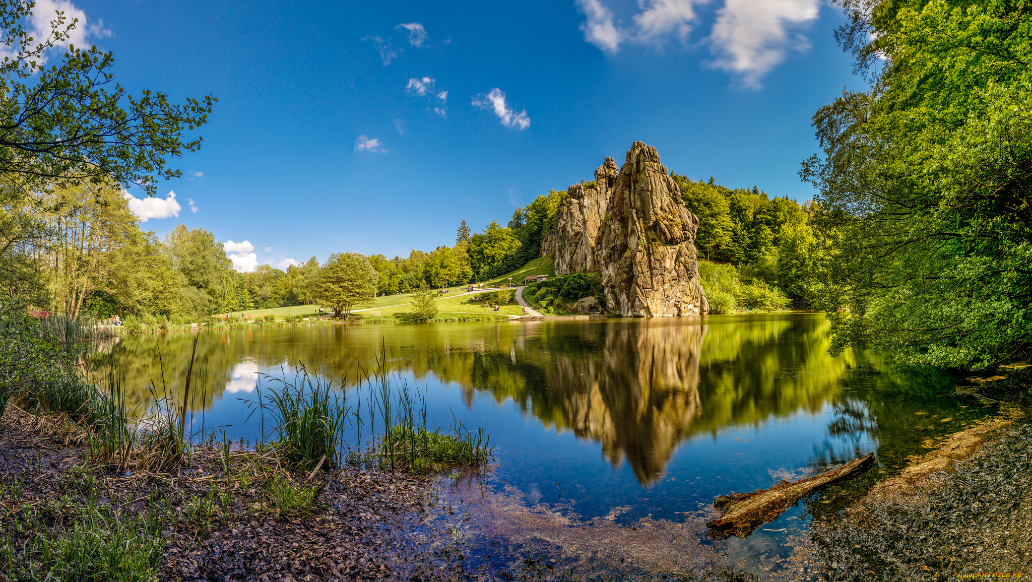 природа, реки, озера, лес, река