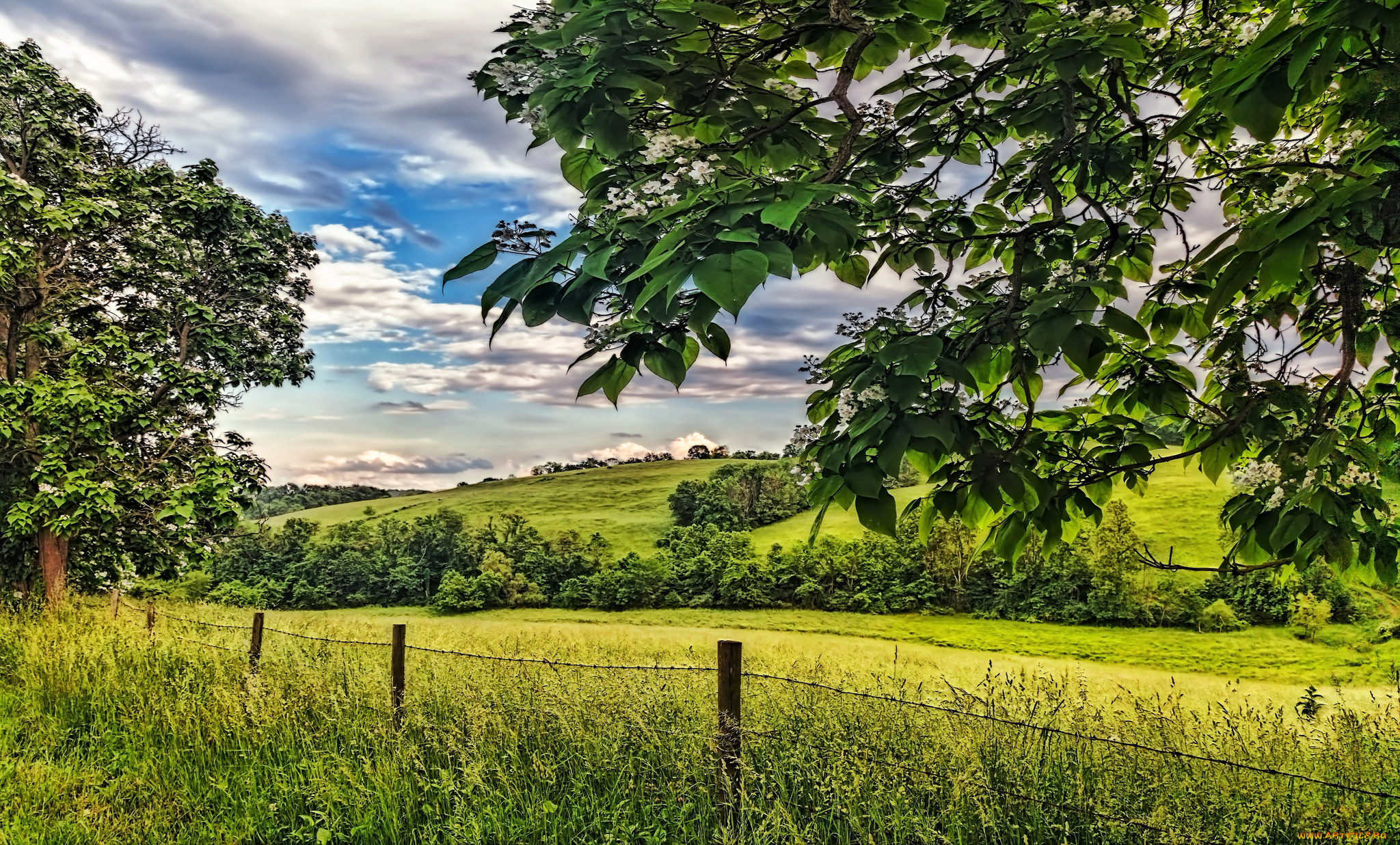 природа, пейзажи, простор