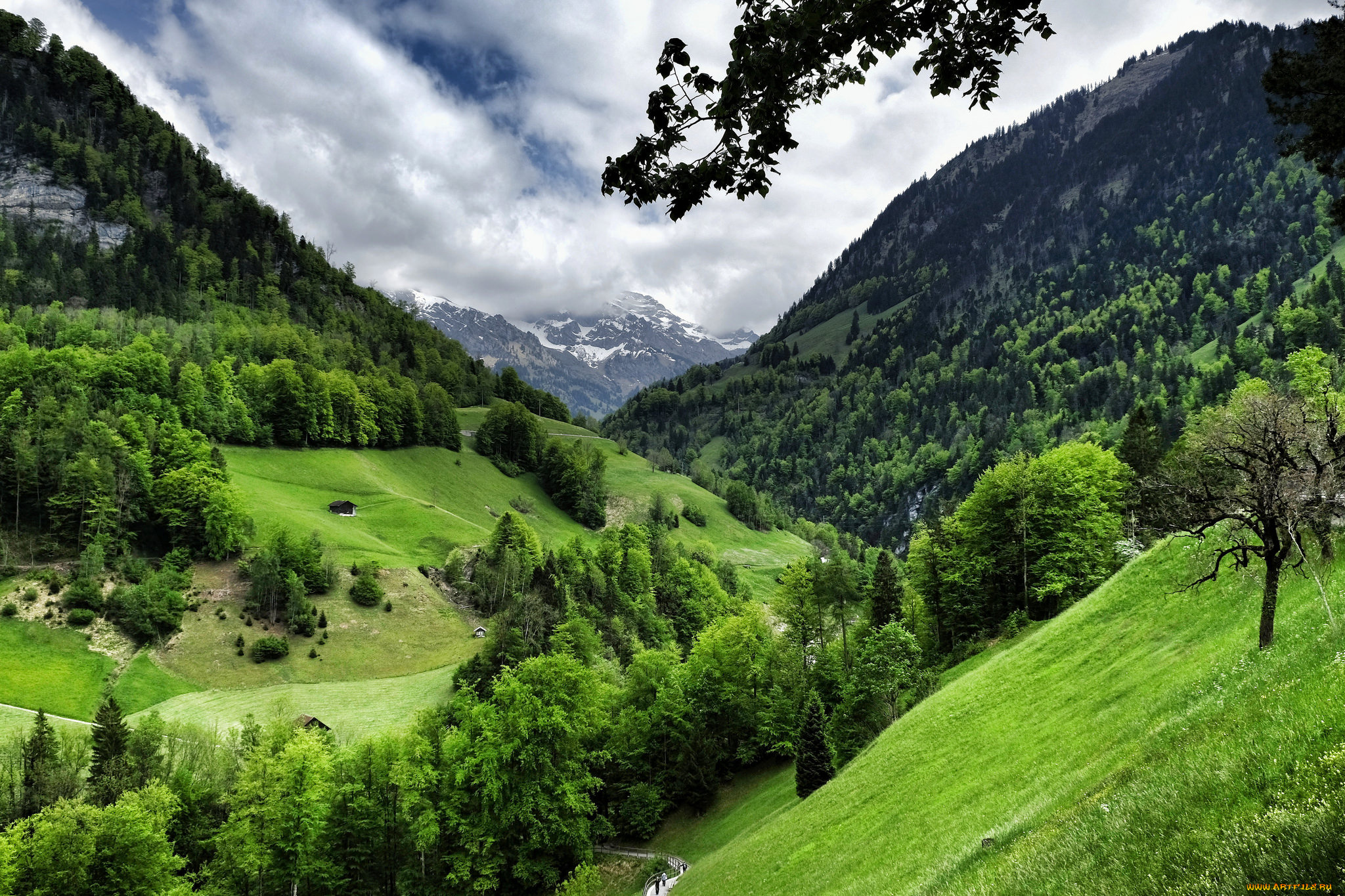 природа, горы, простор