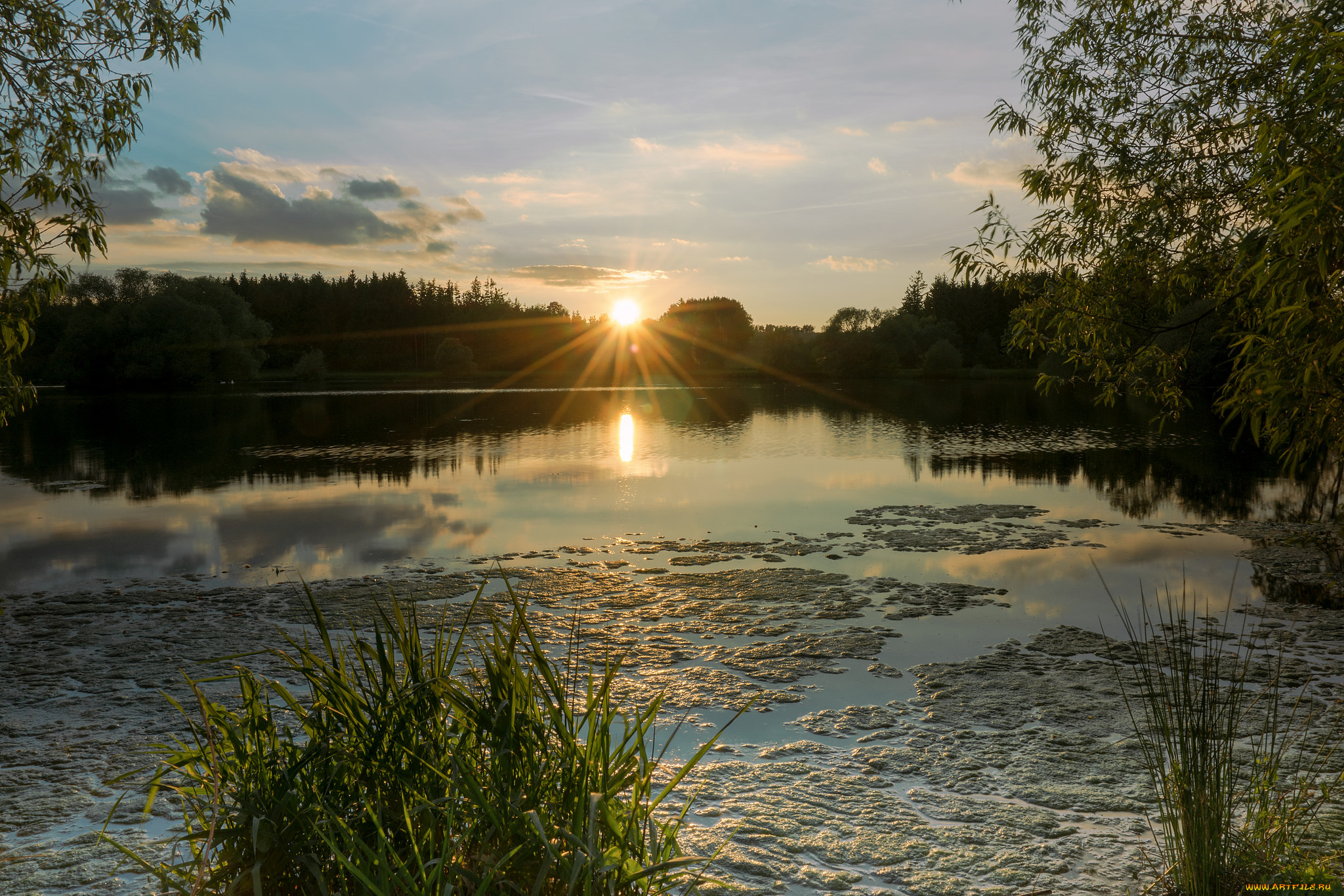 природа, реки, озера, река, лес