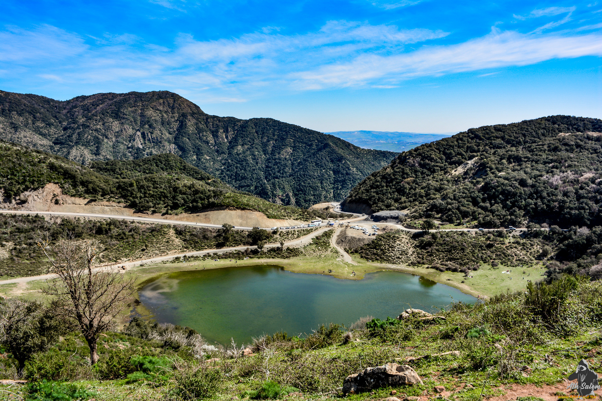 природа, реки, озера, река, лес