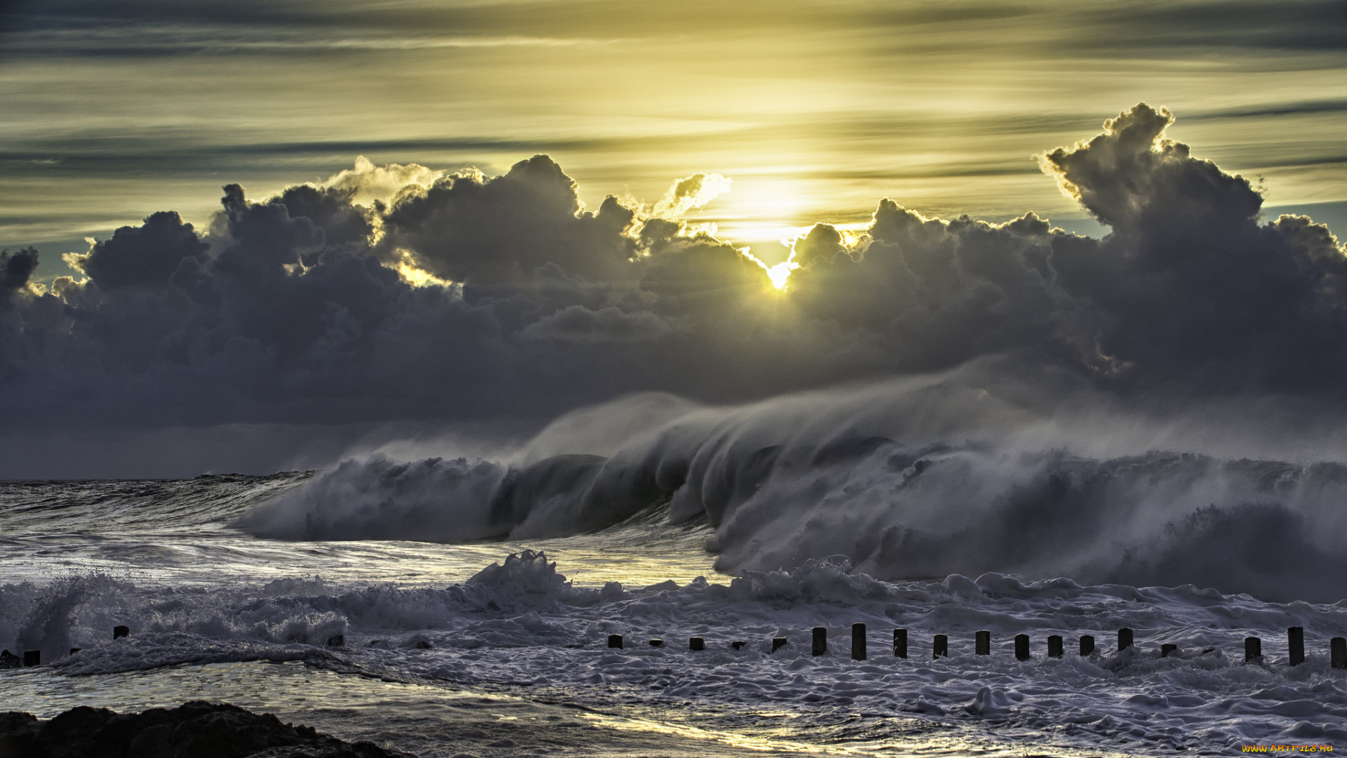 природа, стихия, простор