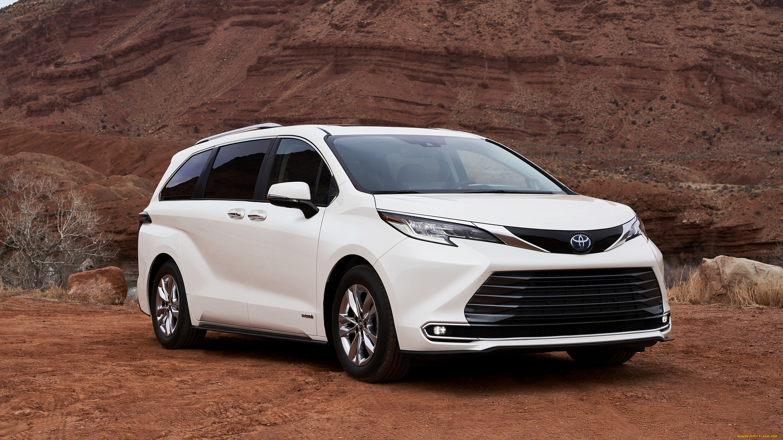 2021, toyota, sienna, limited, hybrid, автомобили, toyota, минивэн, тойота, белый, гибрид