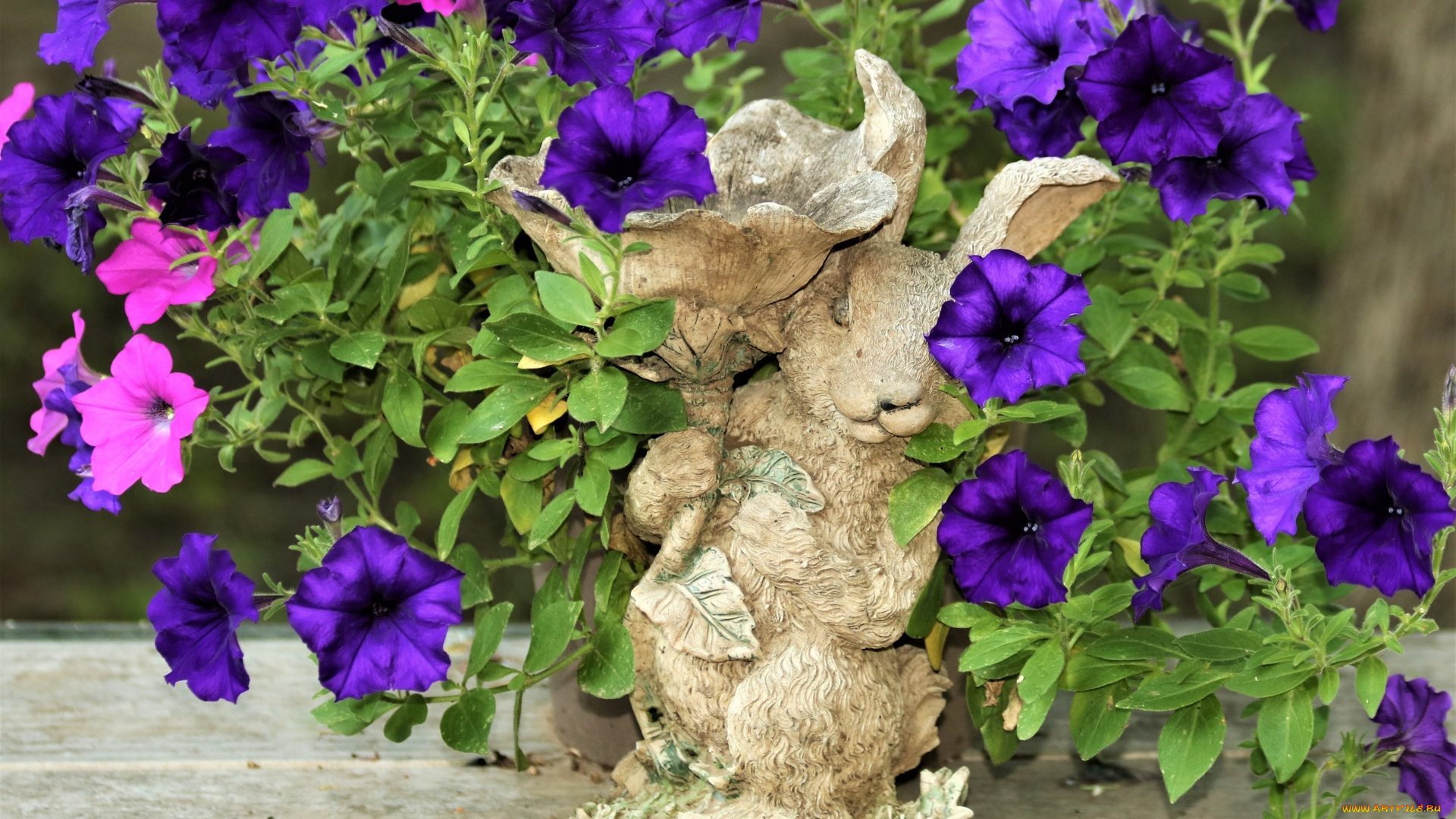 цветы, петунии, , калибрахоа, статуэтка, лиловые, розовые