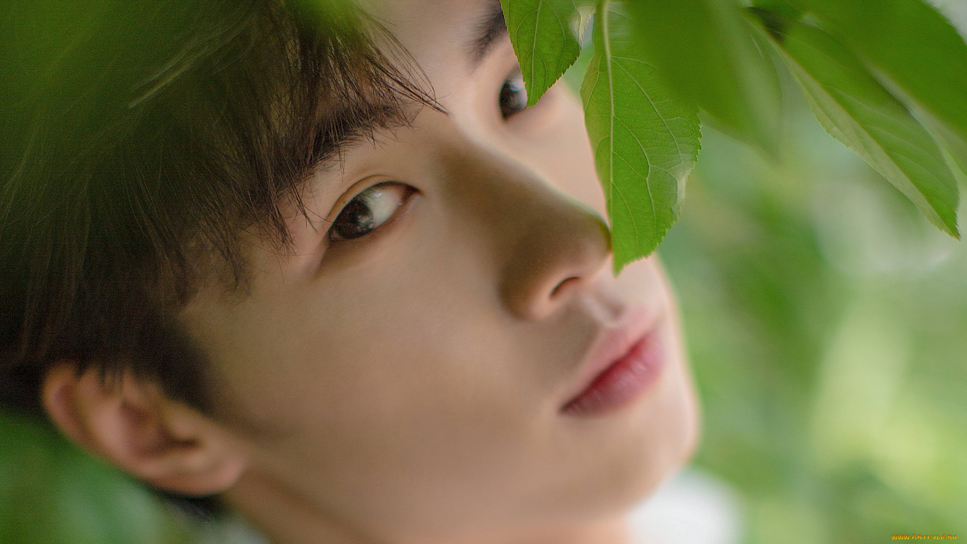 мужчины, song, ji, yang, сун, цзиян, китайский, актёр, певец