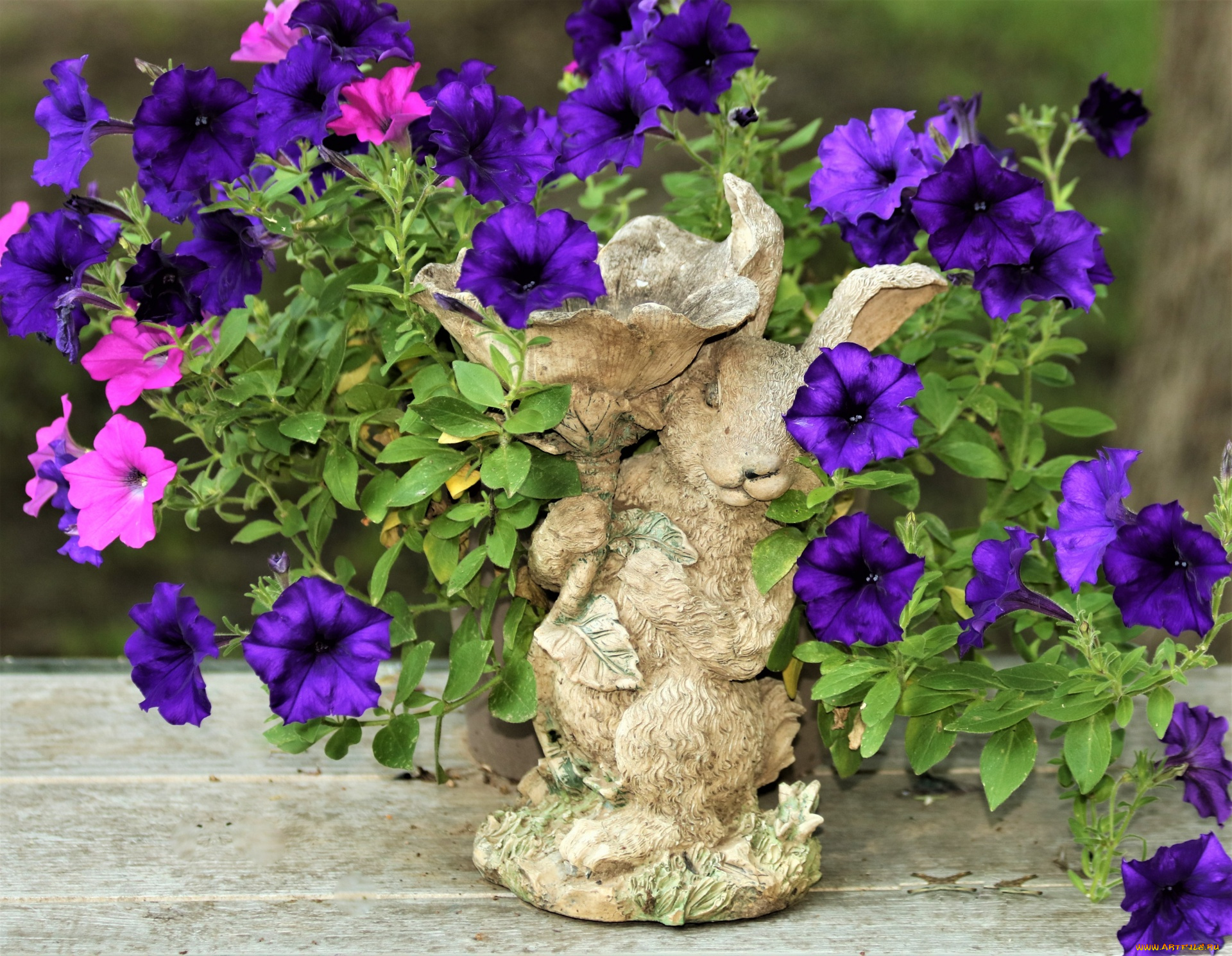 цветы, петунии, , калибрахоа, статуэтка, лиловые, розовые