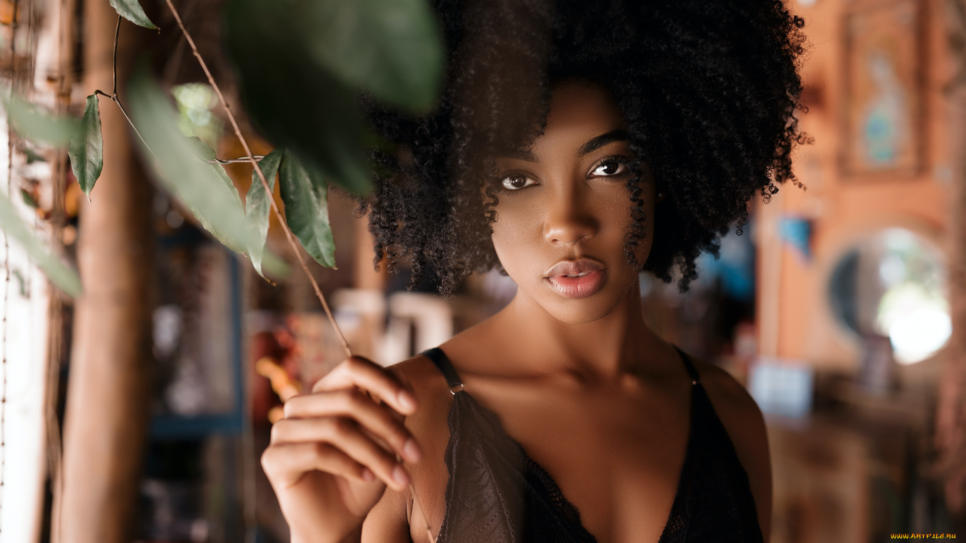 девушки, -, темнокожие, кудряшки