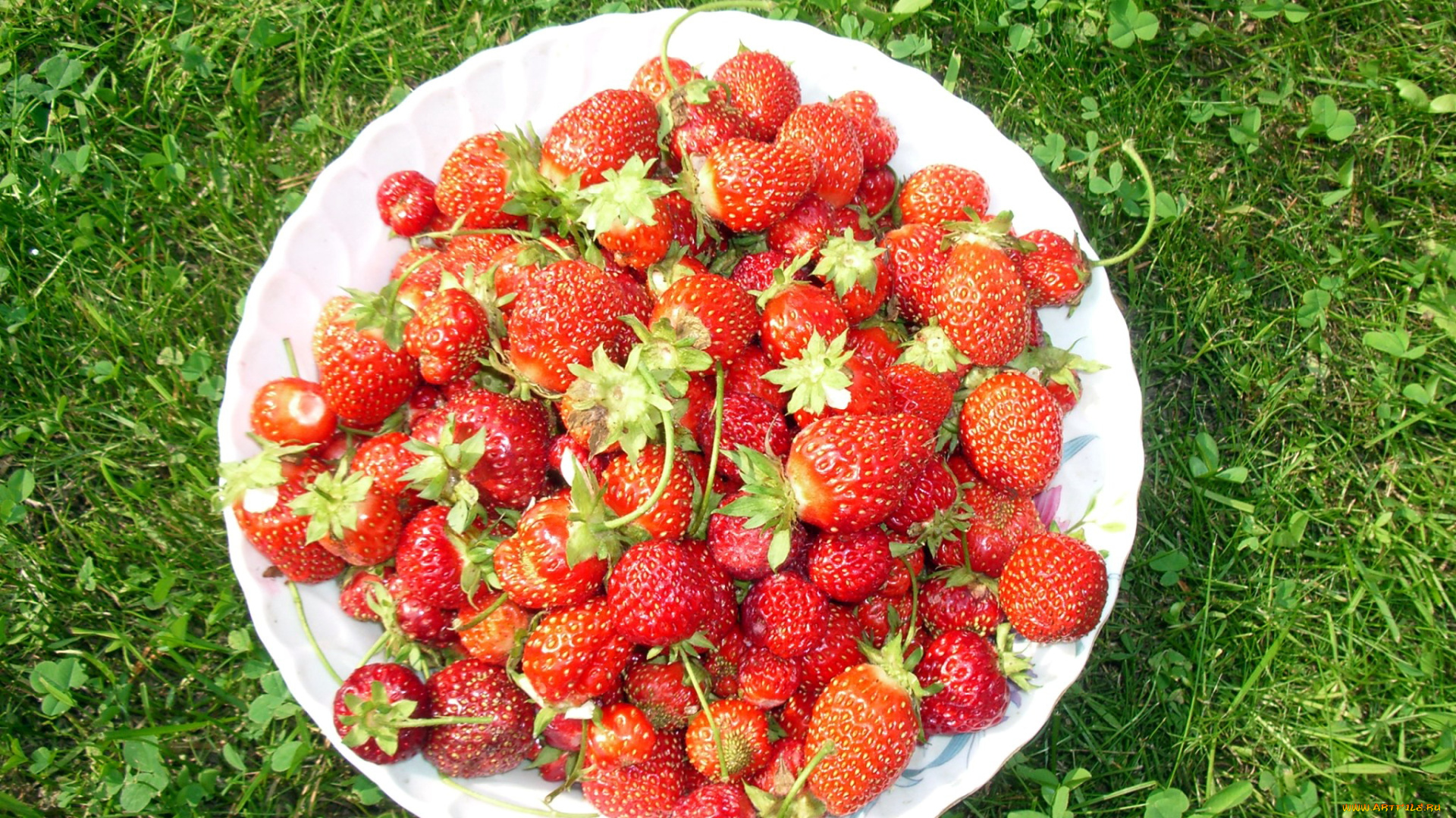 еда, клубника, , земляника, трава, тарелка, ягоды