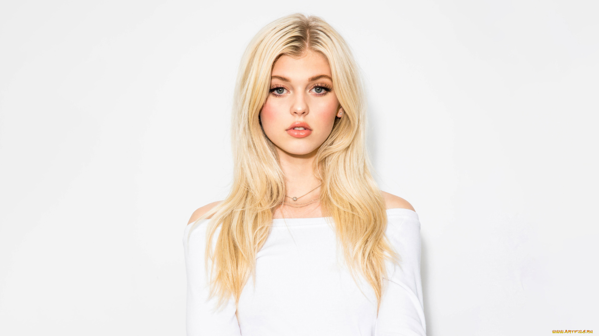 lauren, gray, девушки, -, блондинки, , светловолосые, блондинка, лицо