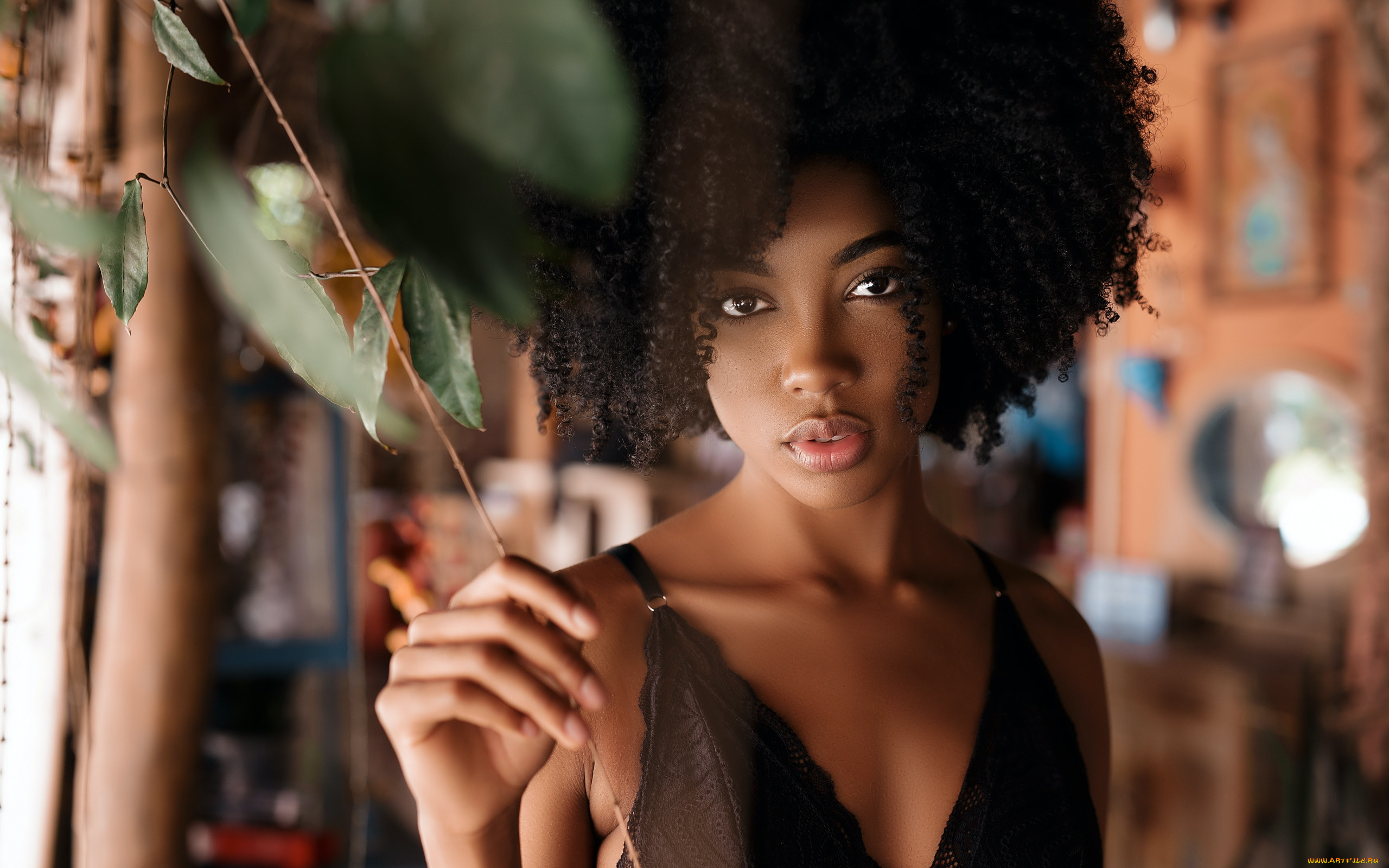 девушки, -, темнокожие, кудряшки