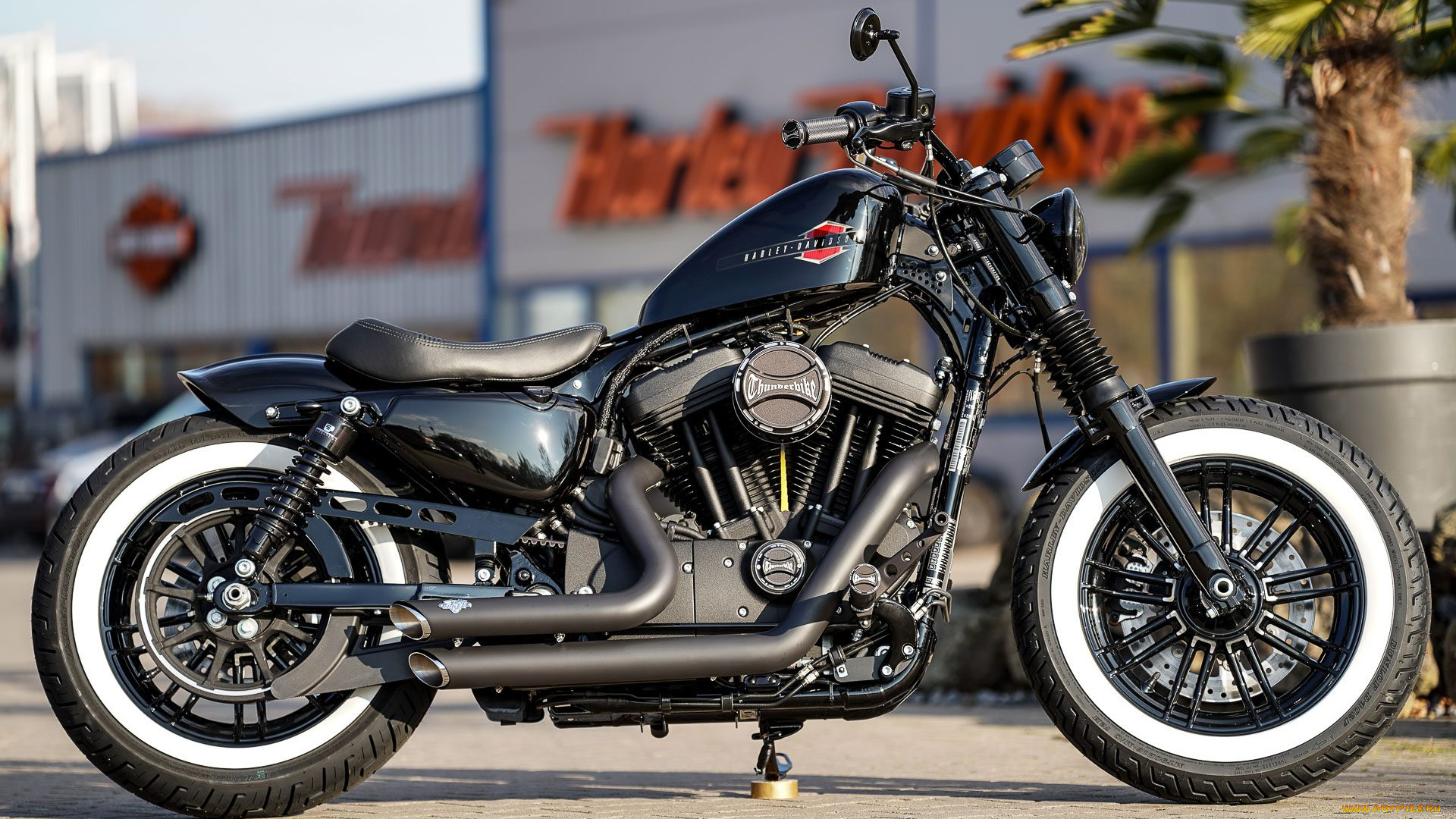 харлей, мотоциклы, harley-davidson, мотоцикл, байк, thunderbike, customs