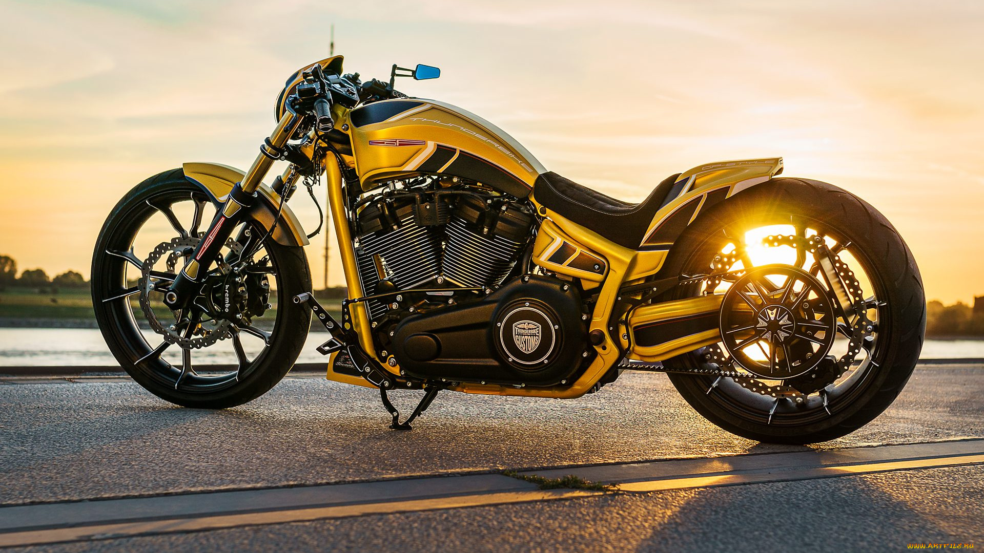 харлей, мотоциклы, harley-davidson, мотоцикл, байк, thunderbike, customs