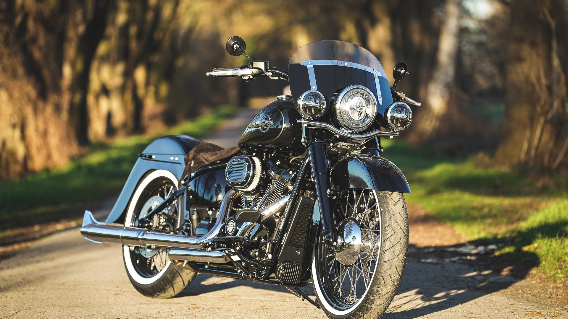 harley, мотоциклы, harley-davidson, thunderbike, customs, мотоцикл, байк